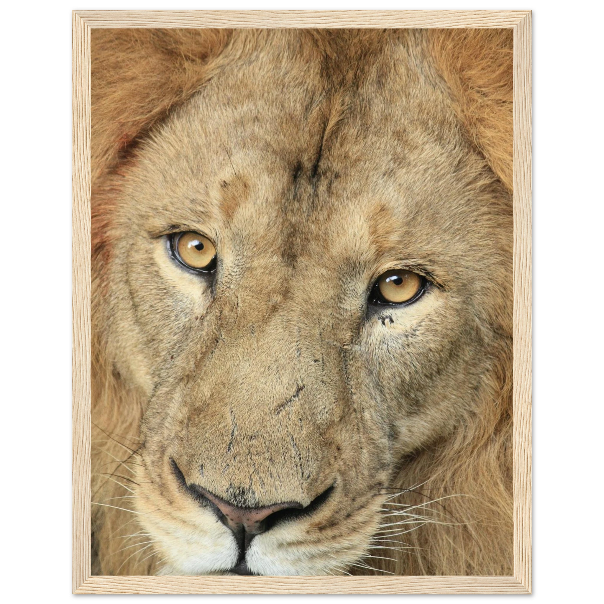 47ba0474-a714-48f5-8c78-6aebc42ed6b4