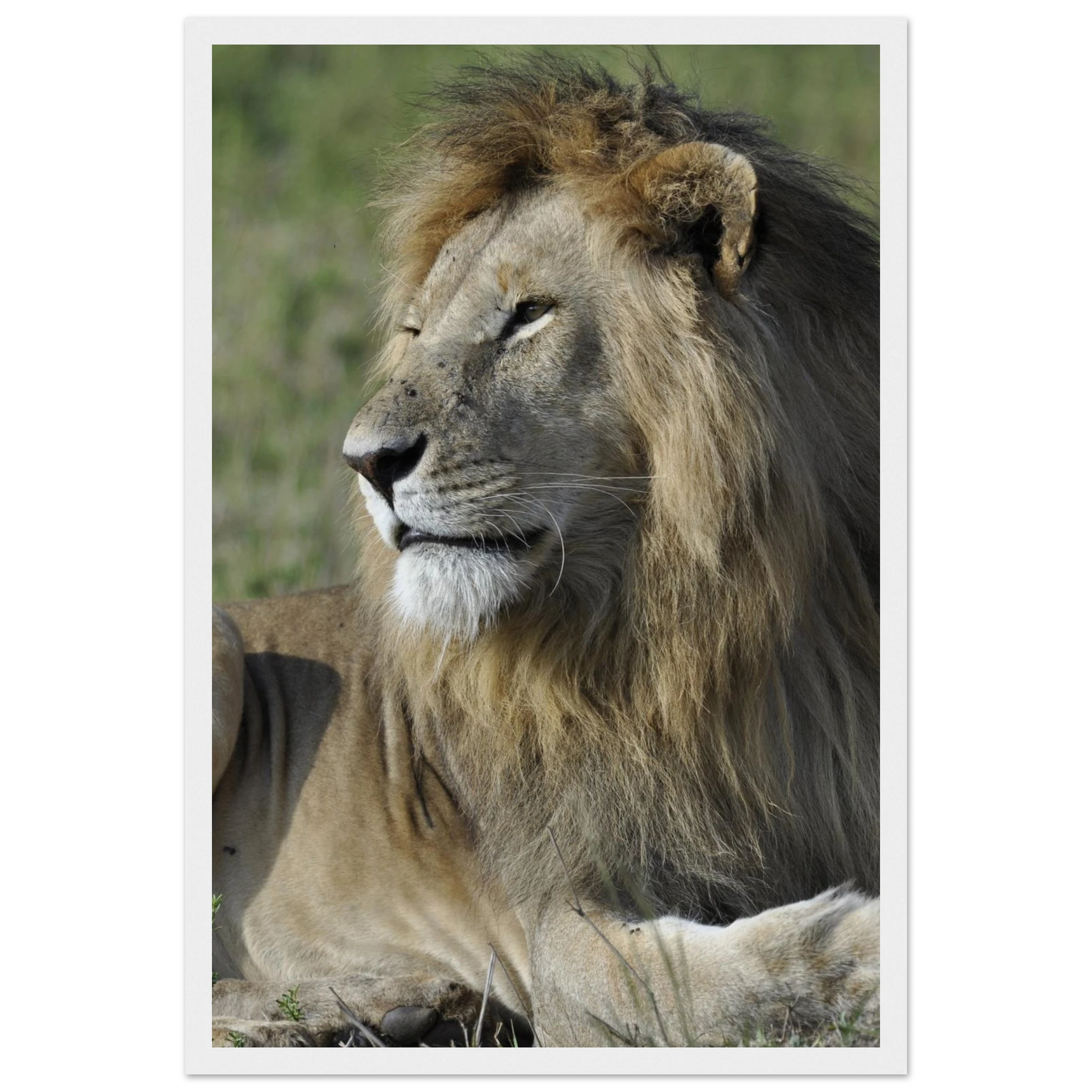 47e8feb5-ed88-4207-86f2-e27efe426ca6