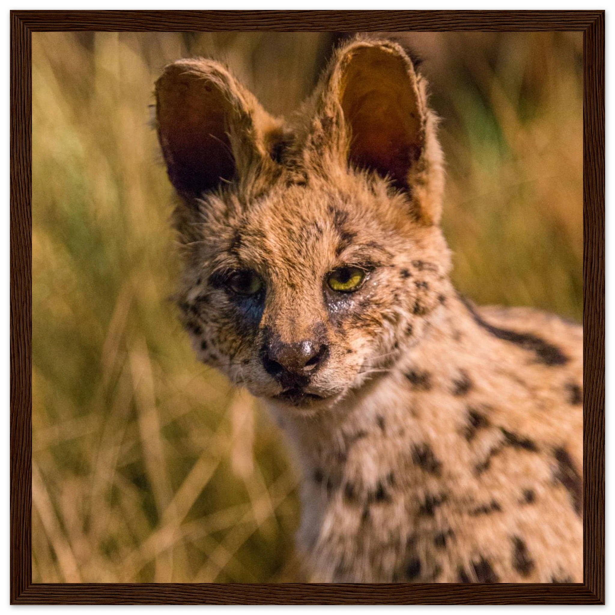 47f1f35d-8755-4529-8408-6ea41a312ccb