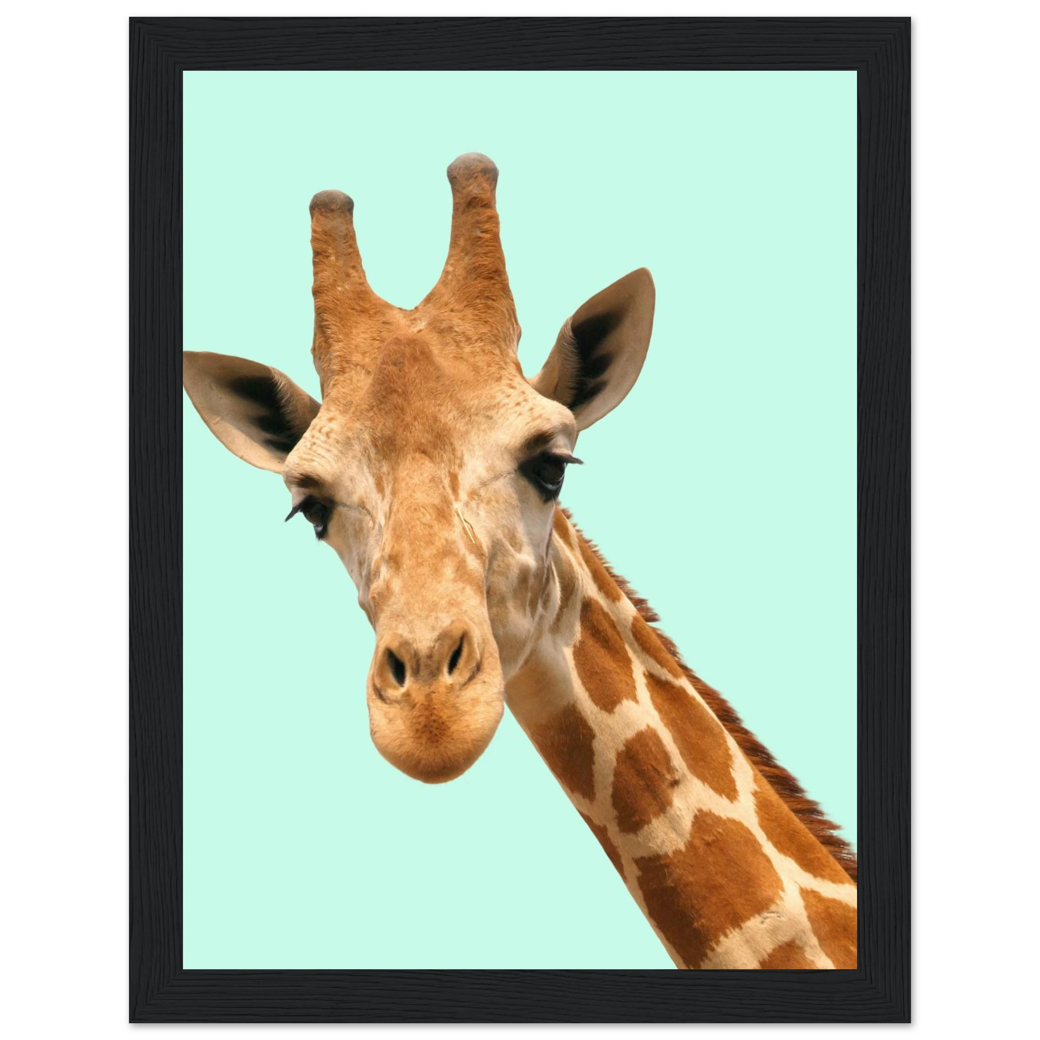 47fa98a1-7351-491c-81c0-a4fbb3724280