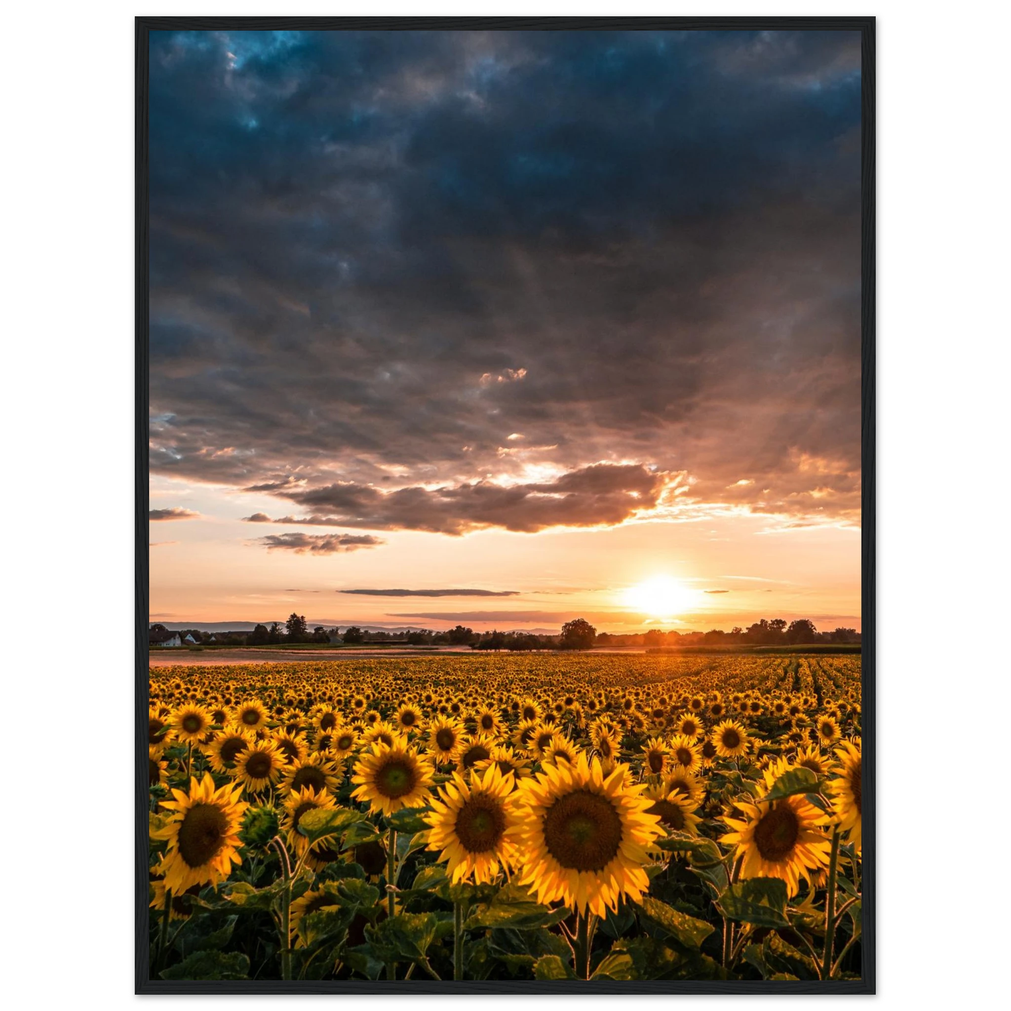 480f9ff5-cd3e-4f77-95b6-be35b68a2327