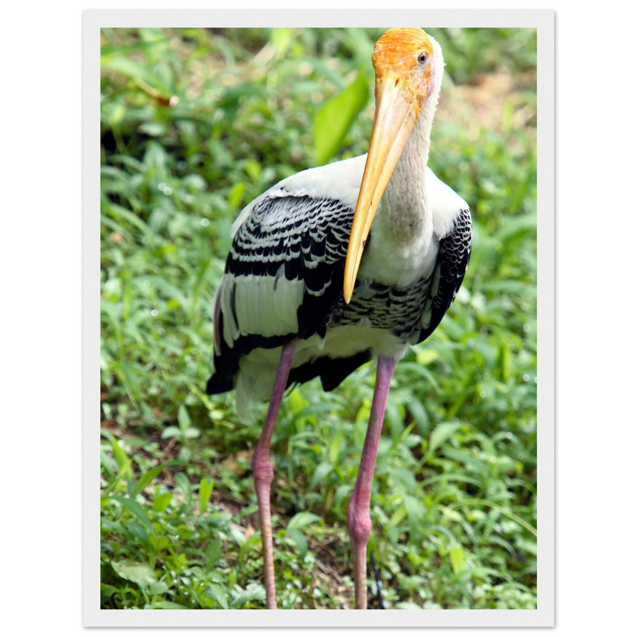 481f0c84-3a2a-4edb-9950-eaeca4180564