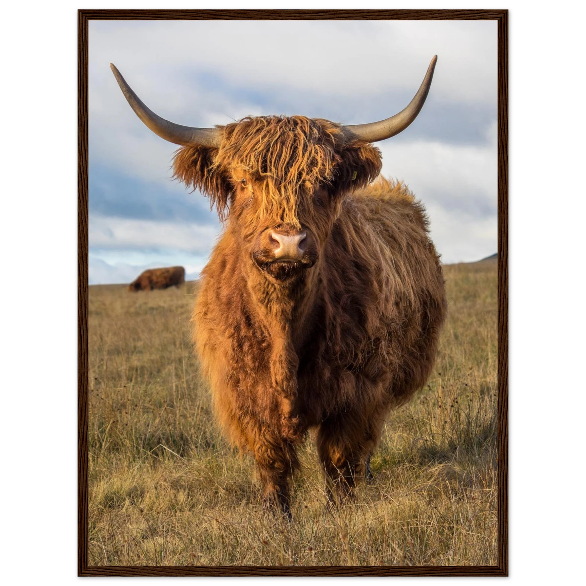 48614787-6b0e-4d1d-9a96-0133cbdb0b47