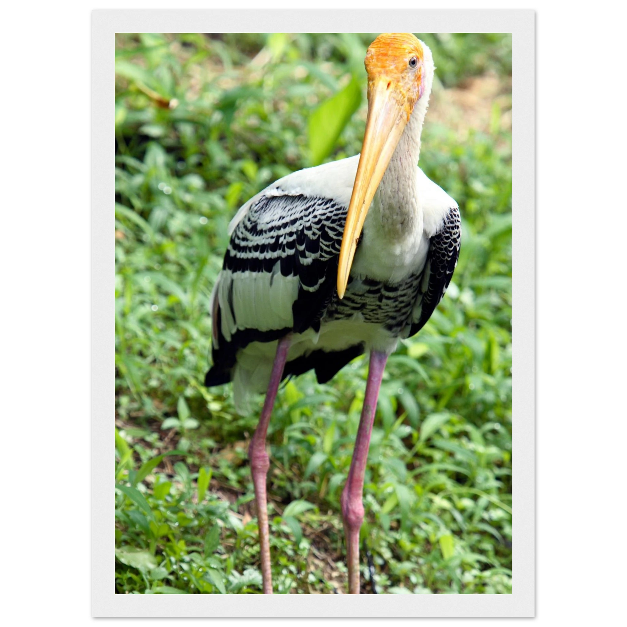 486ca0e9-22d8-446f-a945-74576b2b8879