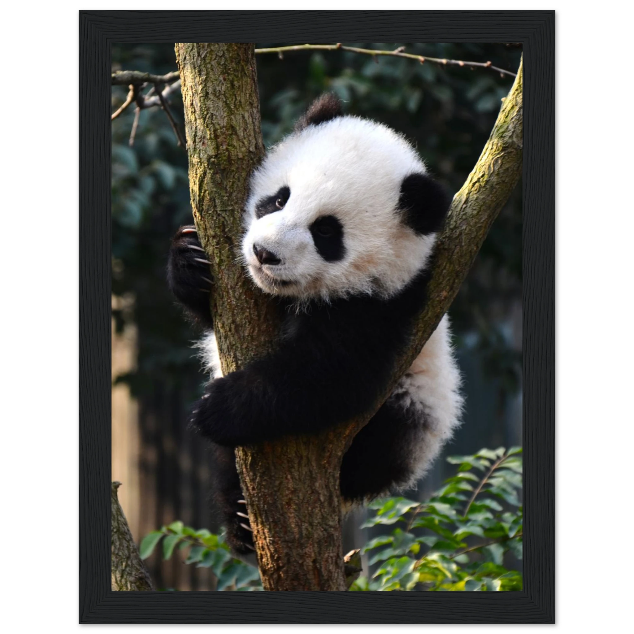 4886acb1-10d3-4c96-8640-766b342e6991