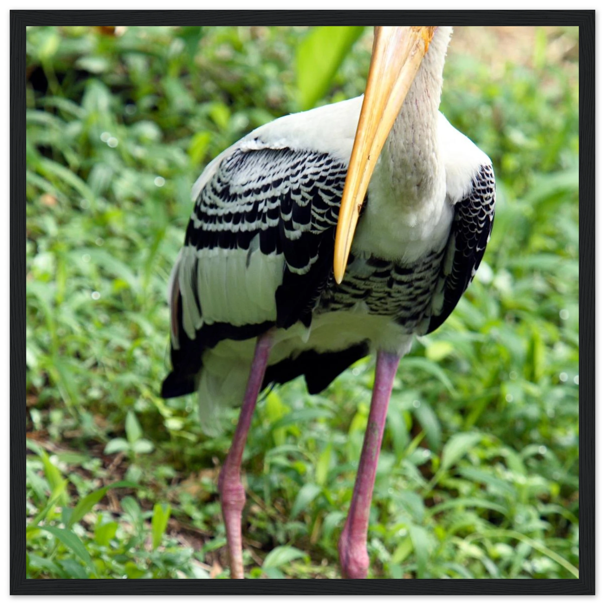 48884353-f0ac-40fe-8a1a-cccee6bc24c8