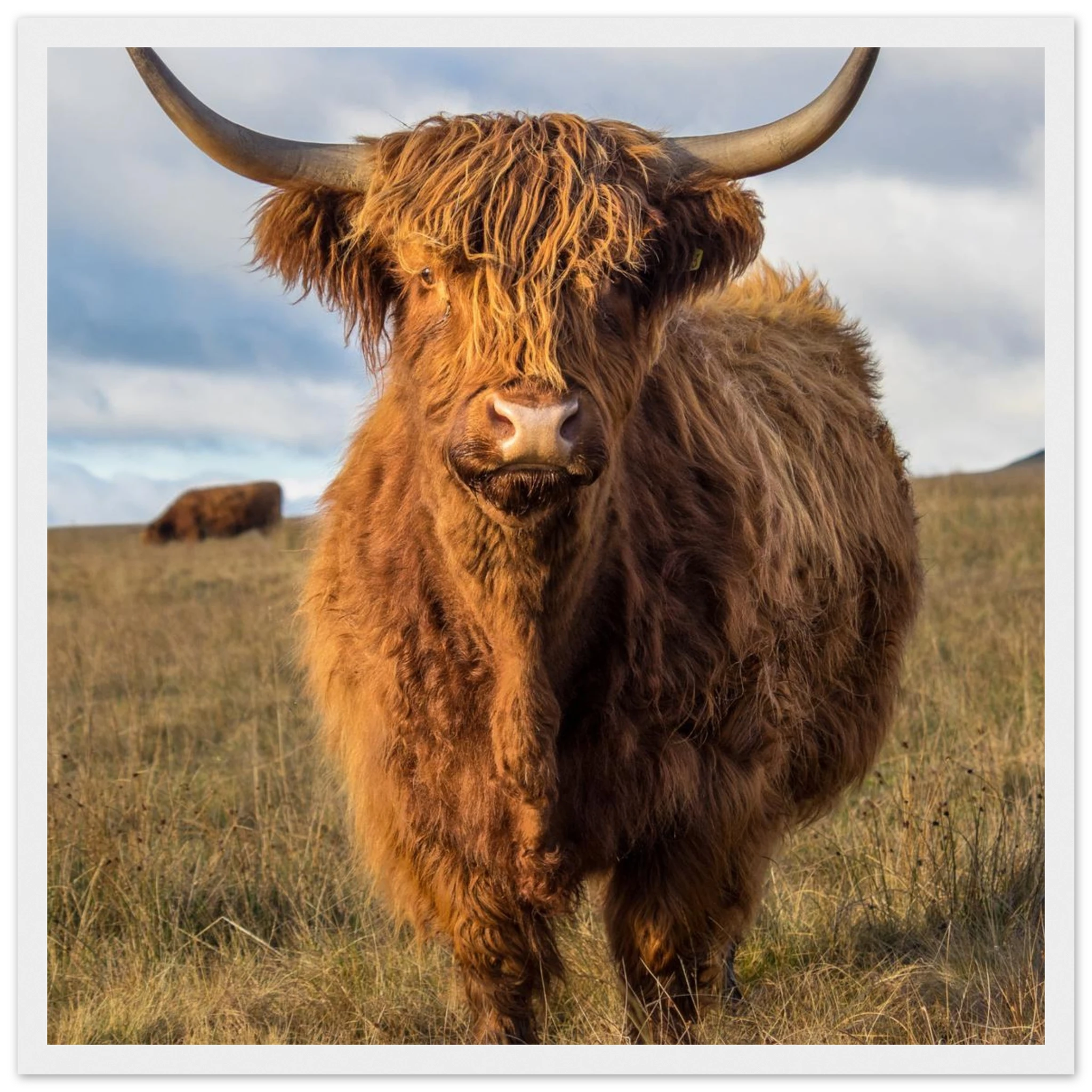 48a566c6-c067-4afc-b5ee-55ace21b0ba4