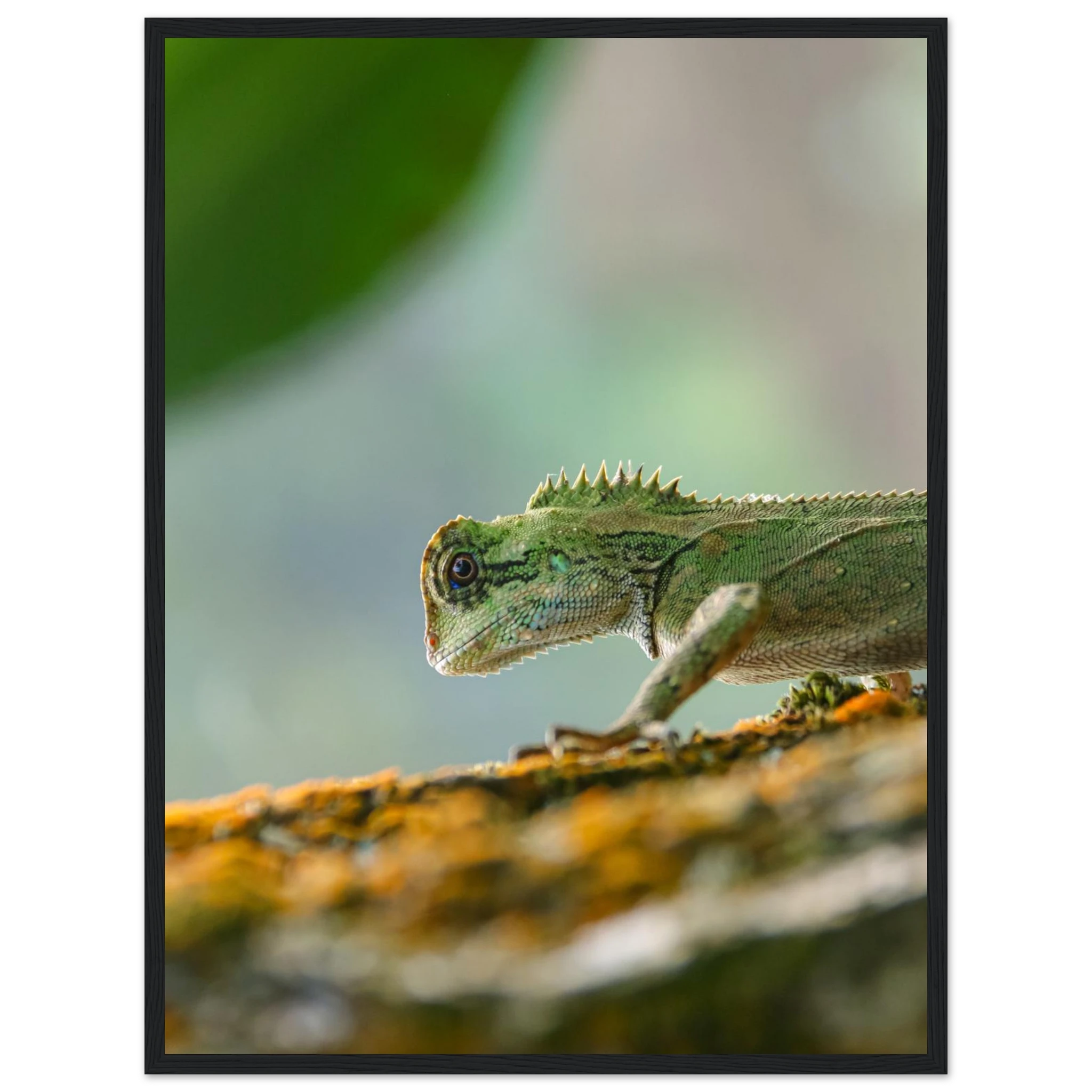 48aa89e9-8b61-41e9-b1cf-e65676dcf5b8