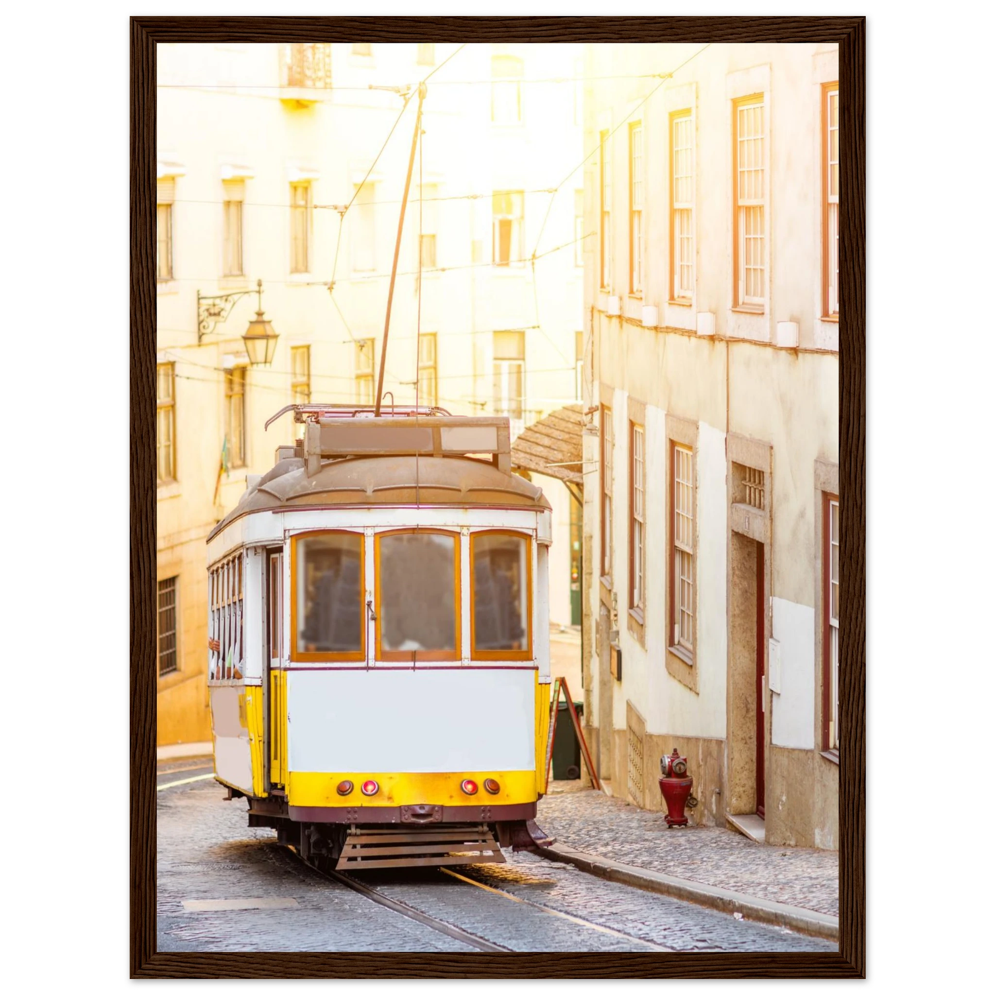 48bba2bf-5371-4126-8a3f-ba936fa50502