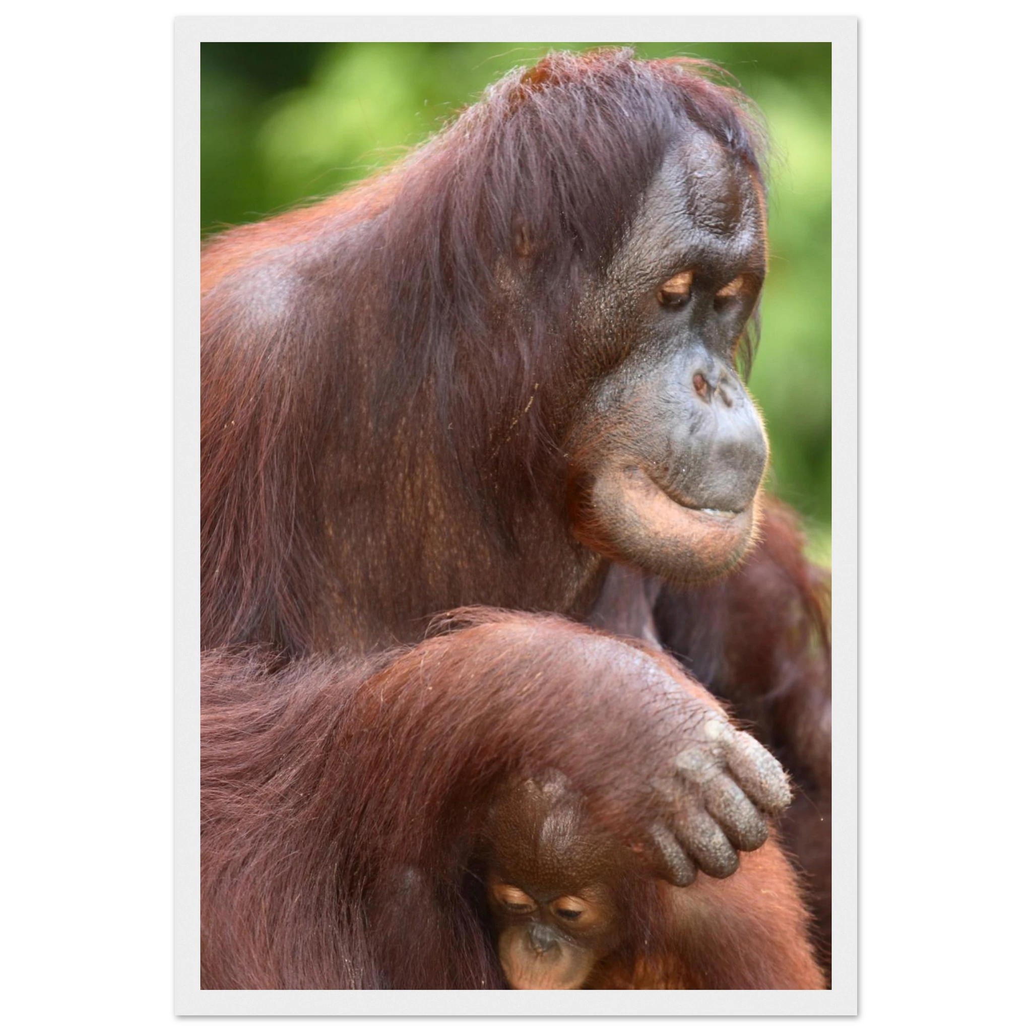 48be77b3-4305-4983-856c-74f66dbb7eb7