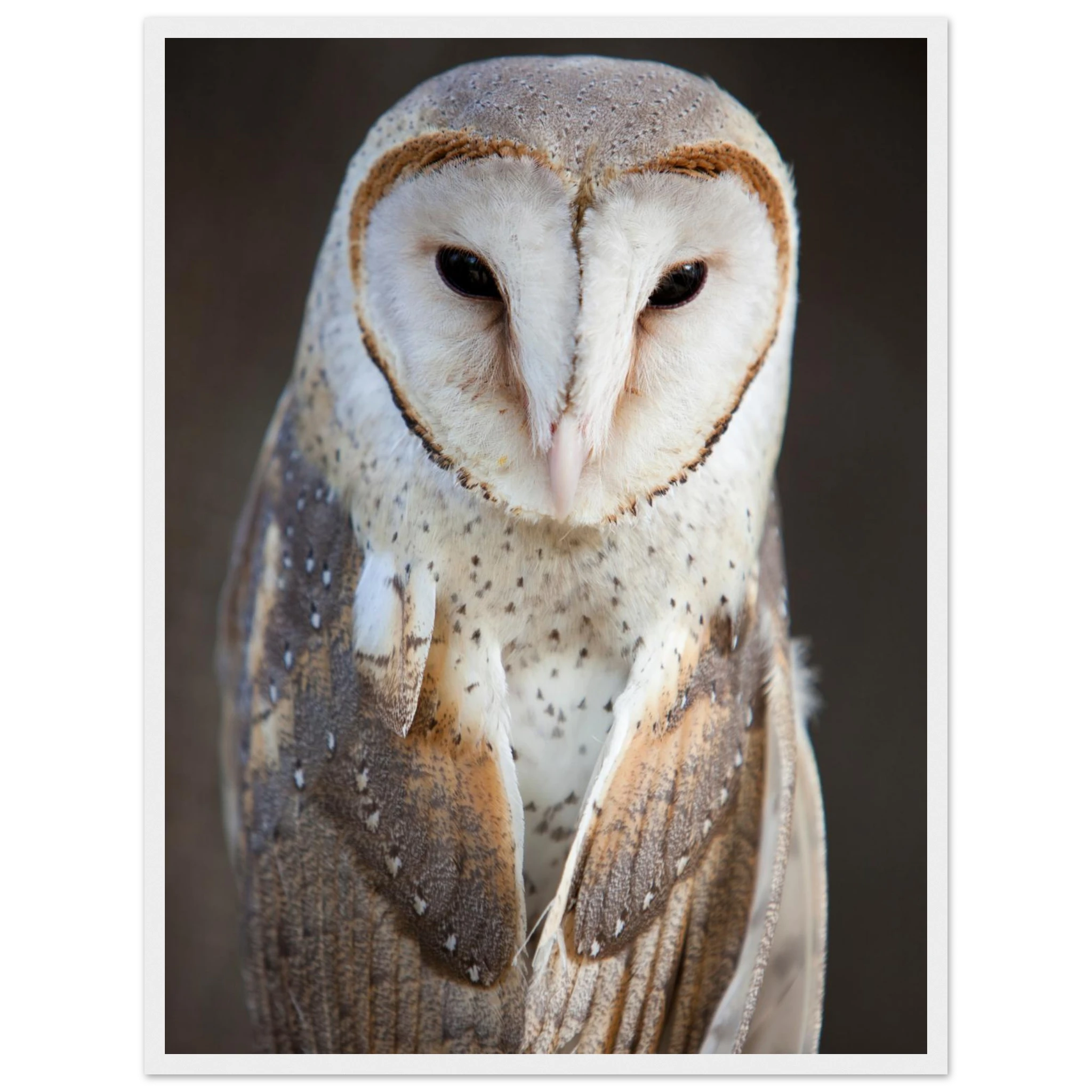 48c1d25a-d65a-465f-9b91-fed27b6a5d75