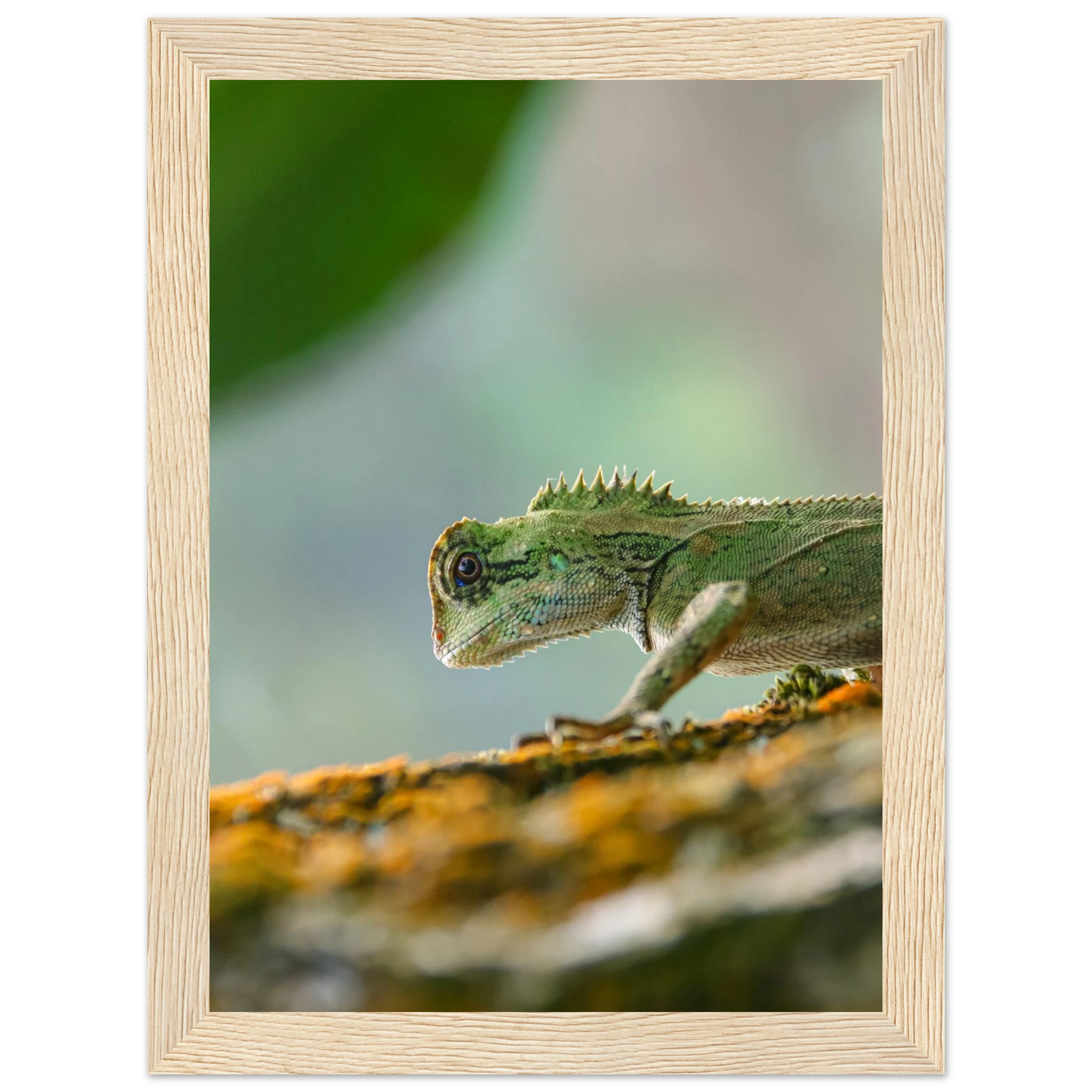 48c3f575-b741-47d0-89cd-f266ae9ea452