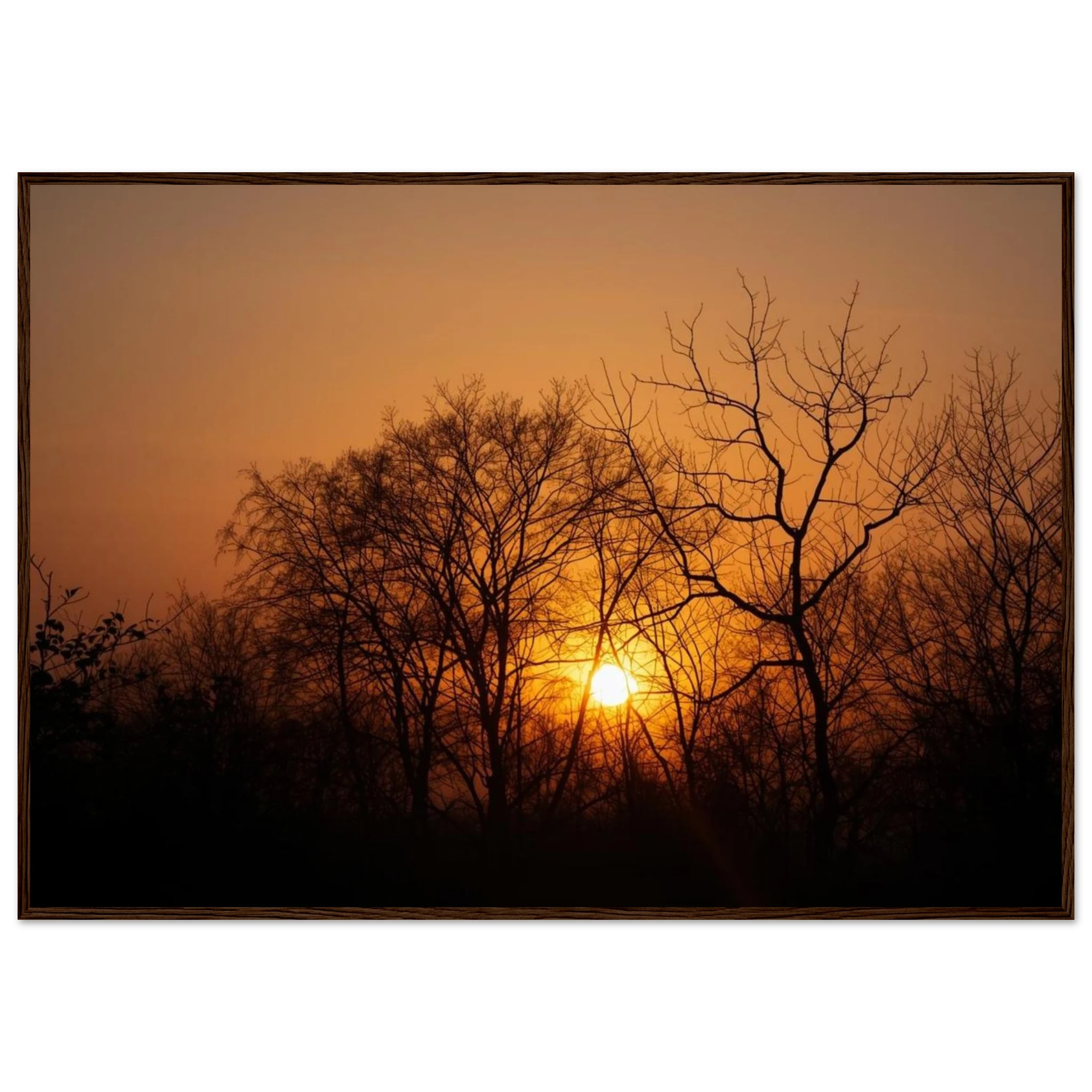 48dd66bf-5b09-40c6-9dbe-139a7b96f3c8