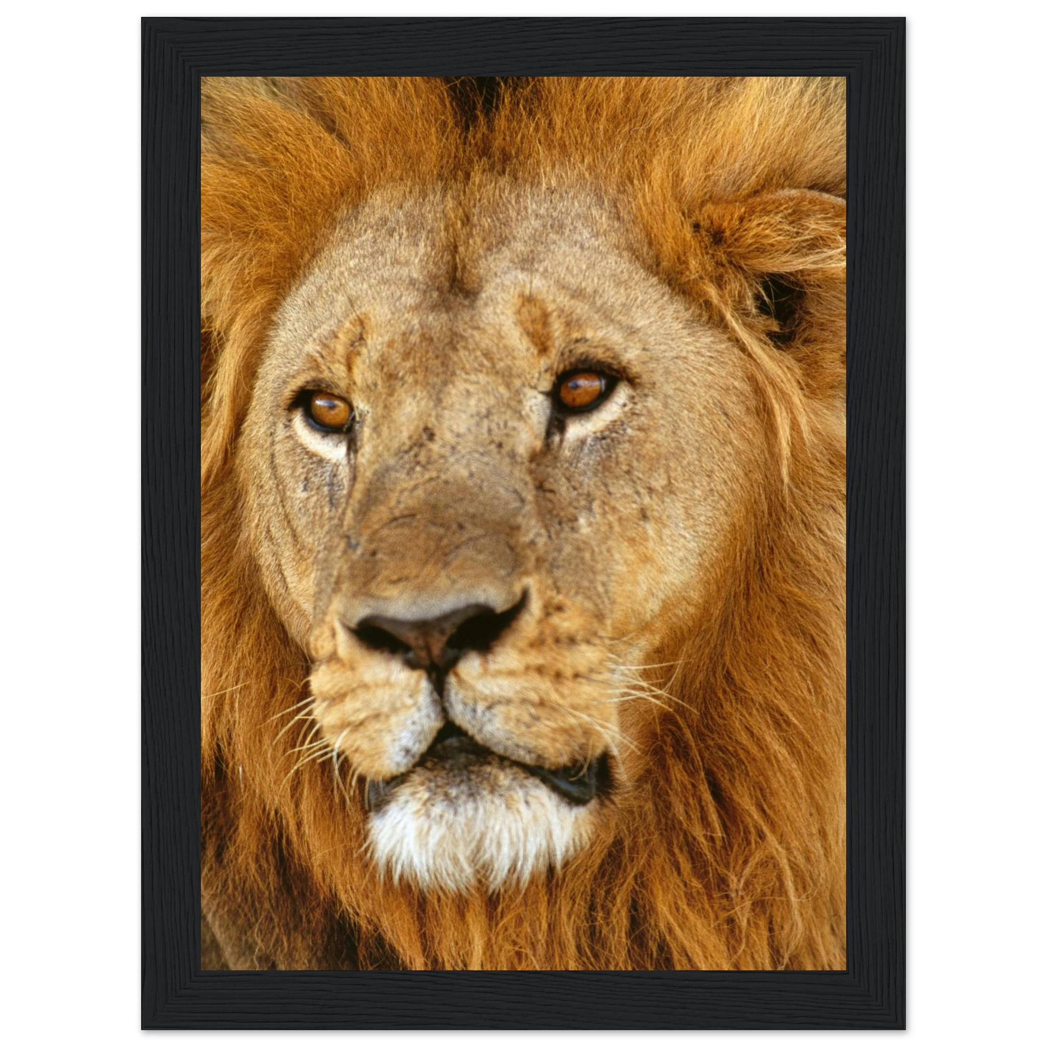 48e50496-1389-4526-9aad-e3fc39950d68