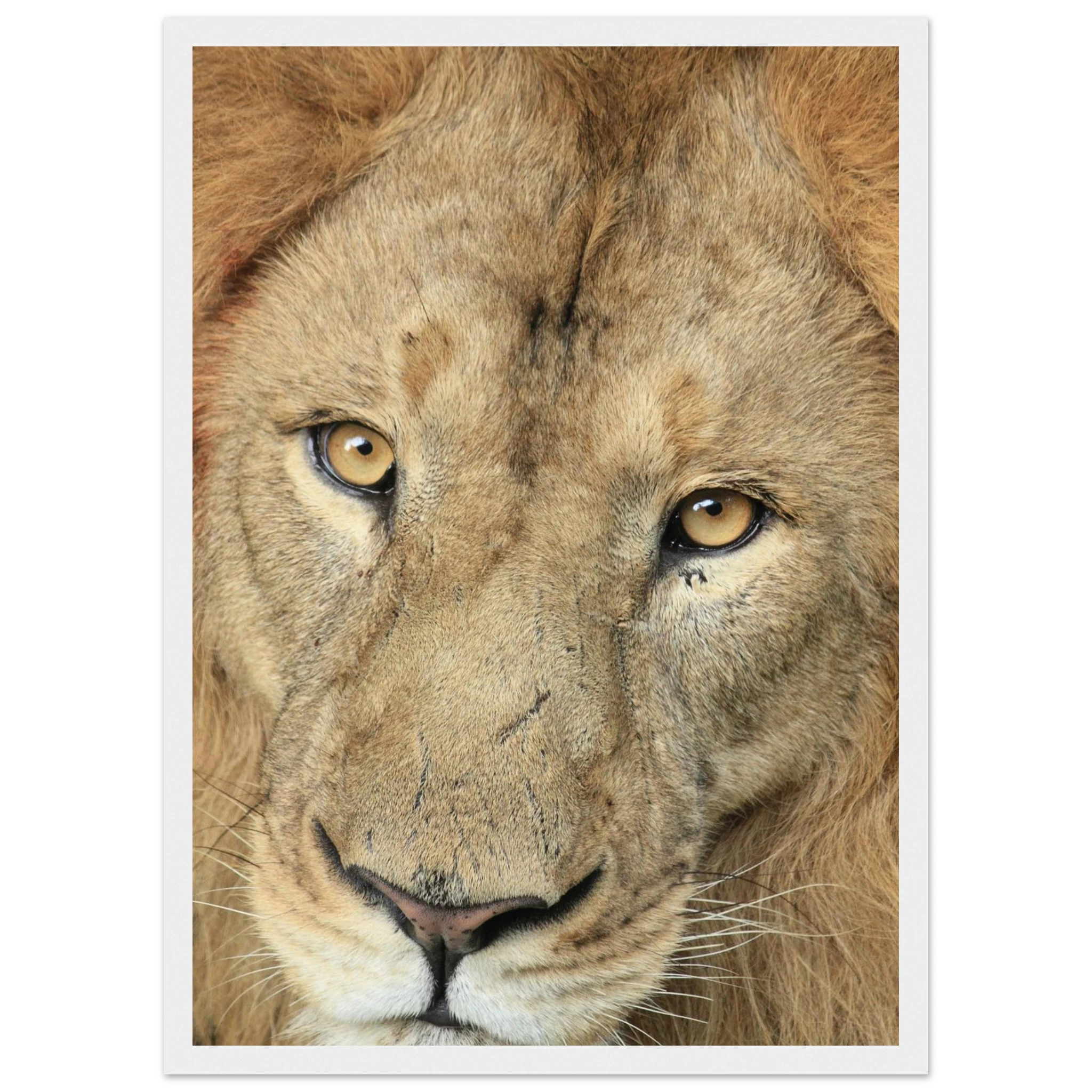 48e63b2f-4394-456f-a026-eea69dd7f14a