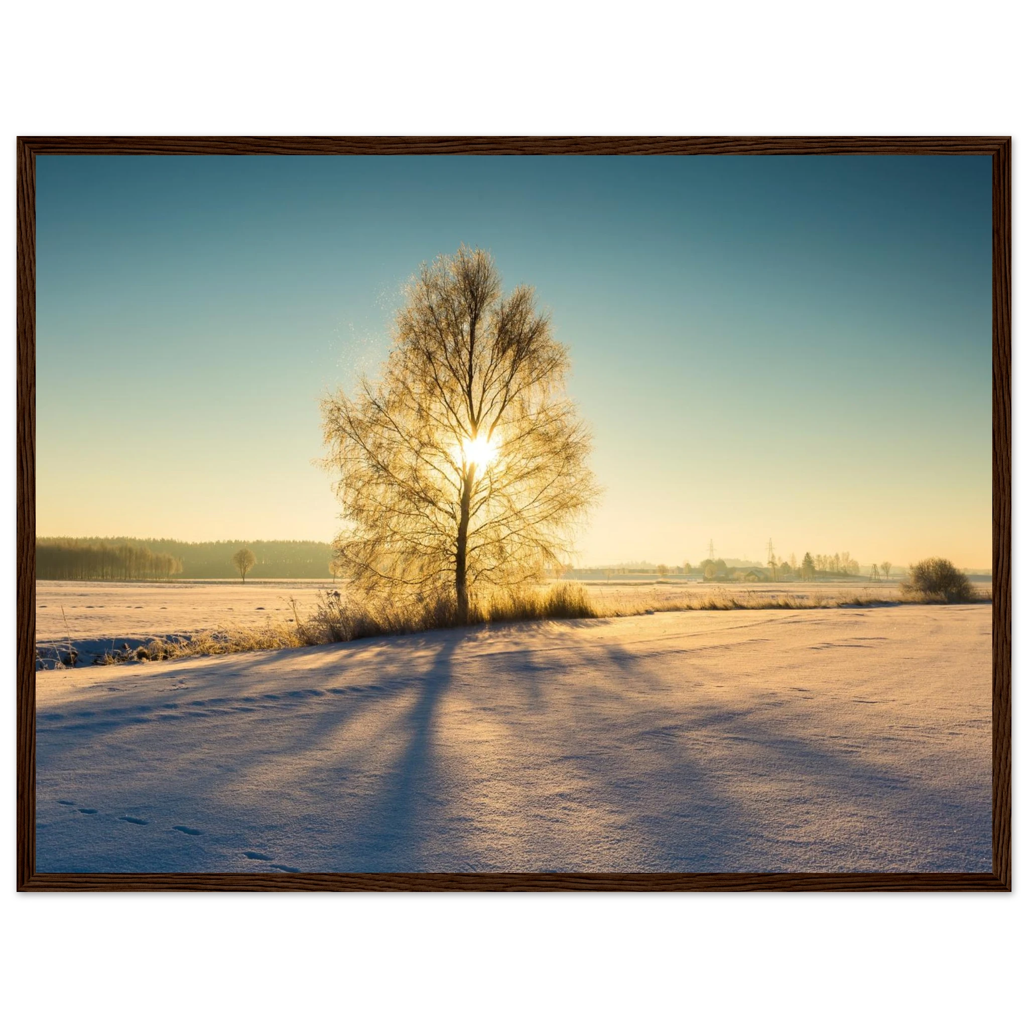 48eb3849-97bb-4e0f-a914-b7cba79441ce