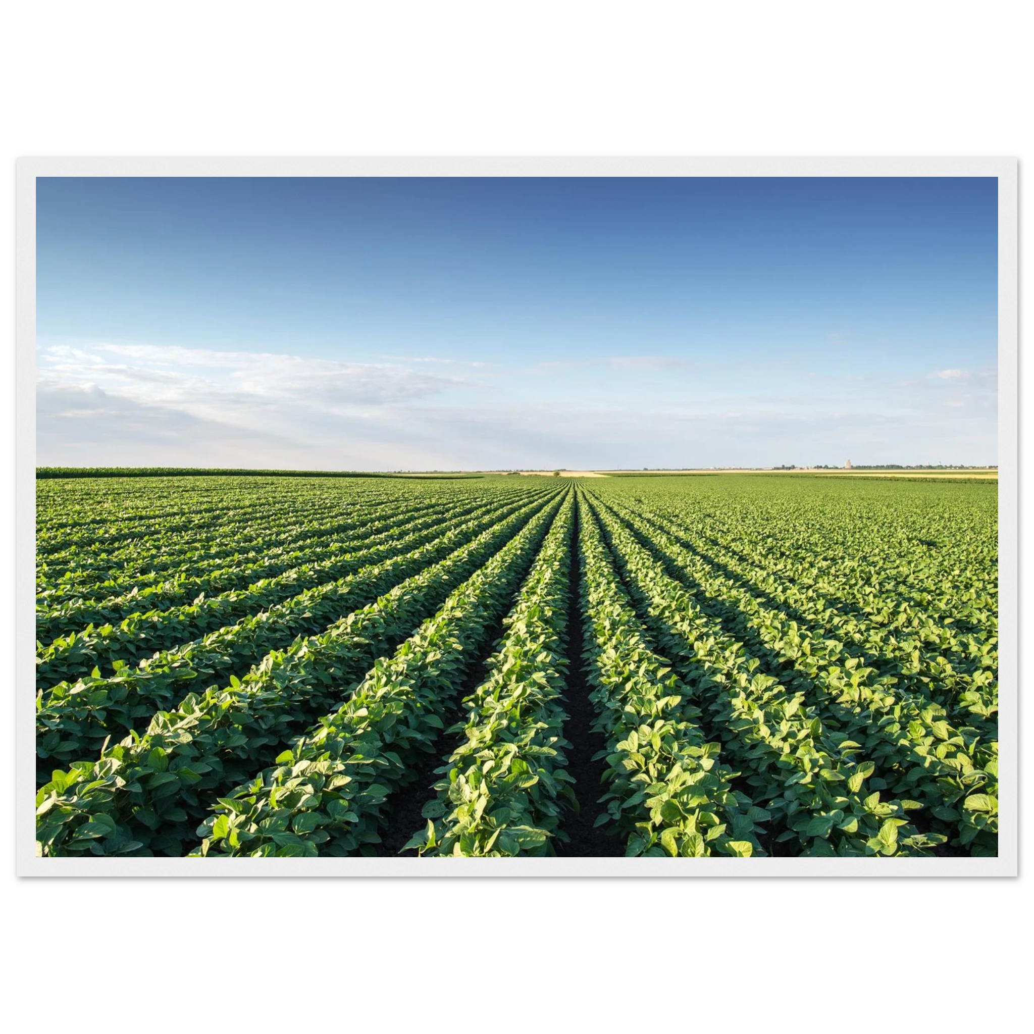 48edbd21-ae78-498e-b1dc-7e206eaa34d8