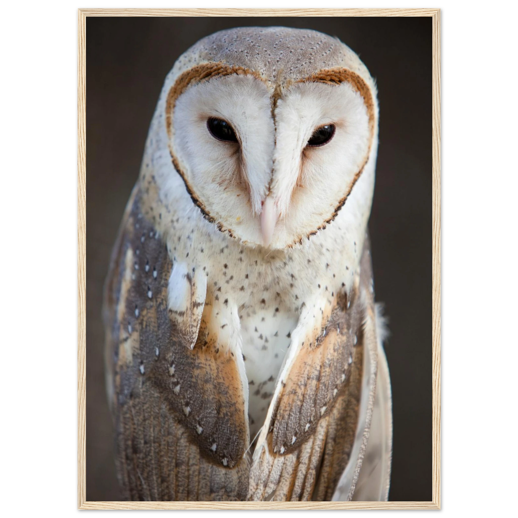 4902d24c-16bd-4900-a24a-34095a415b6f