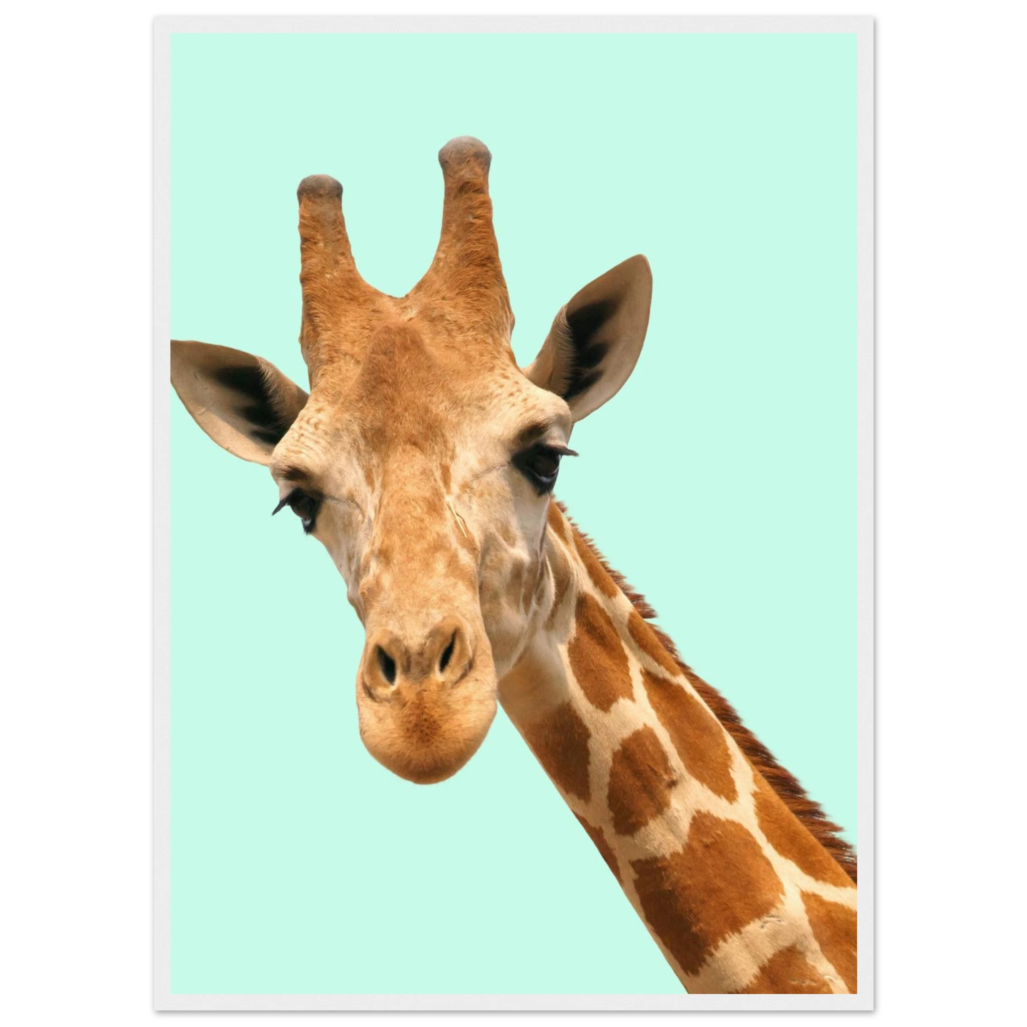 49340b9b-e03d-4898-a25f-3dd563d0b82c