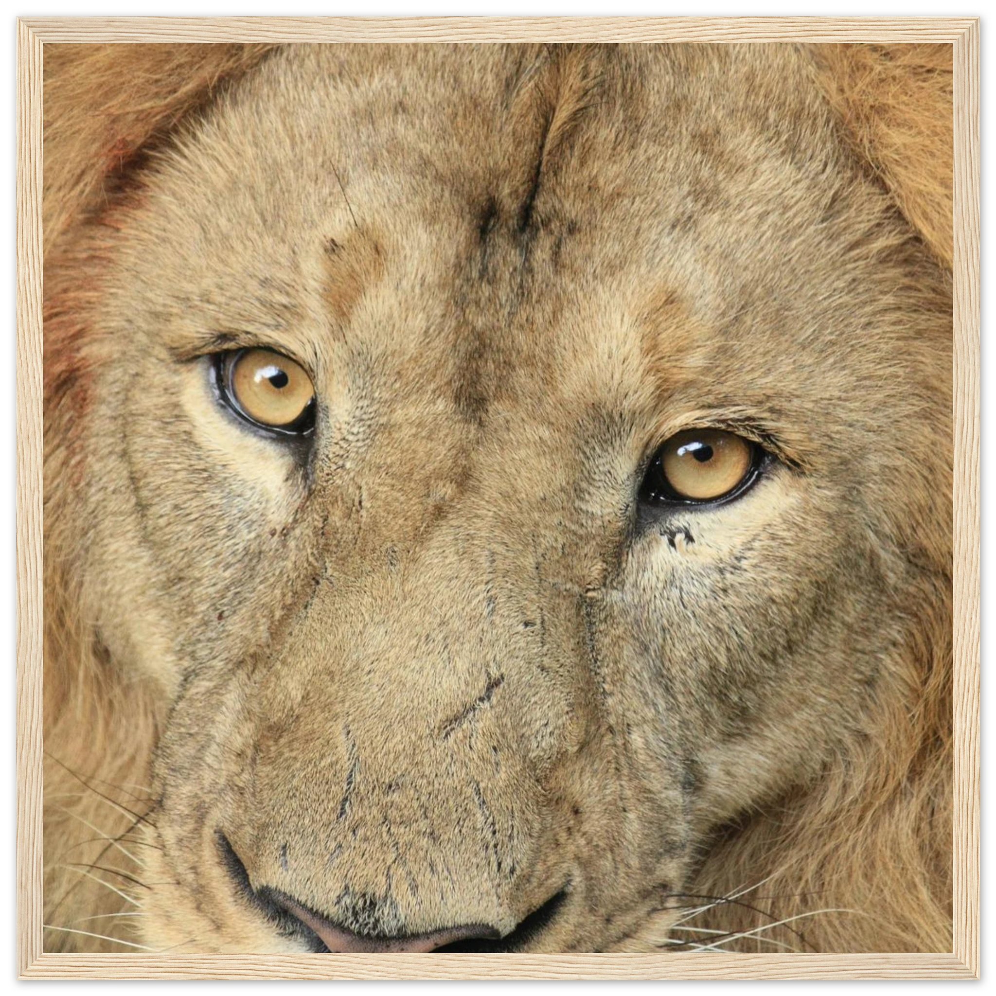 493f586c-0123-4197-9ee7-e4bc7b96fd17