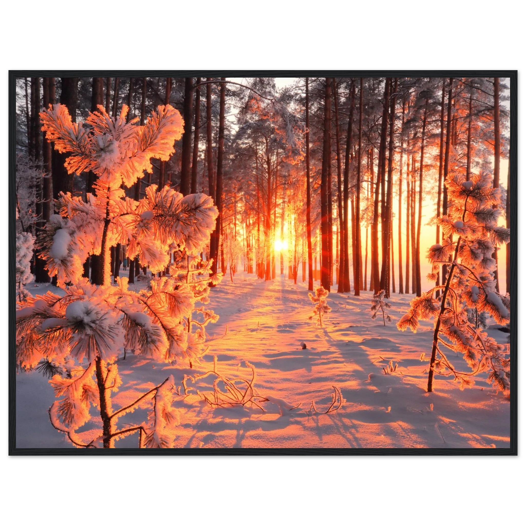 494e5371-33d2-429d-8fd0-17feade970dd