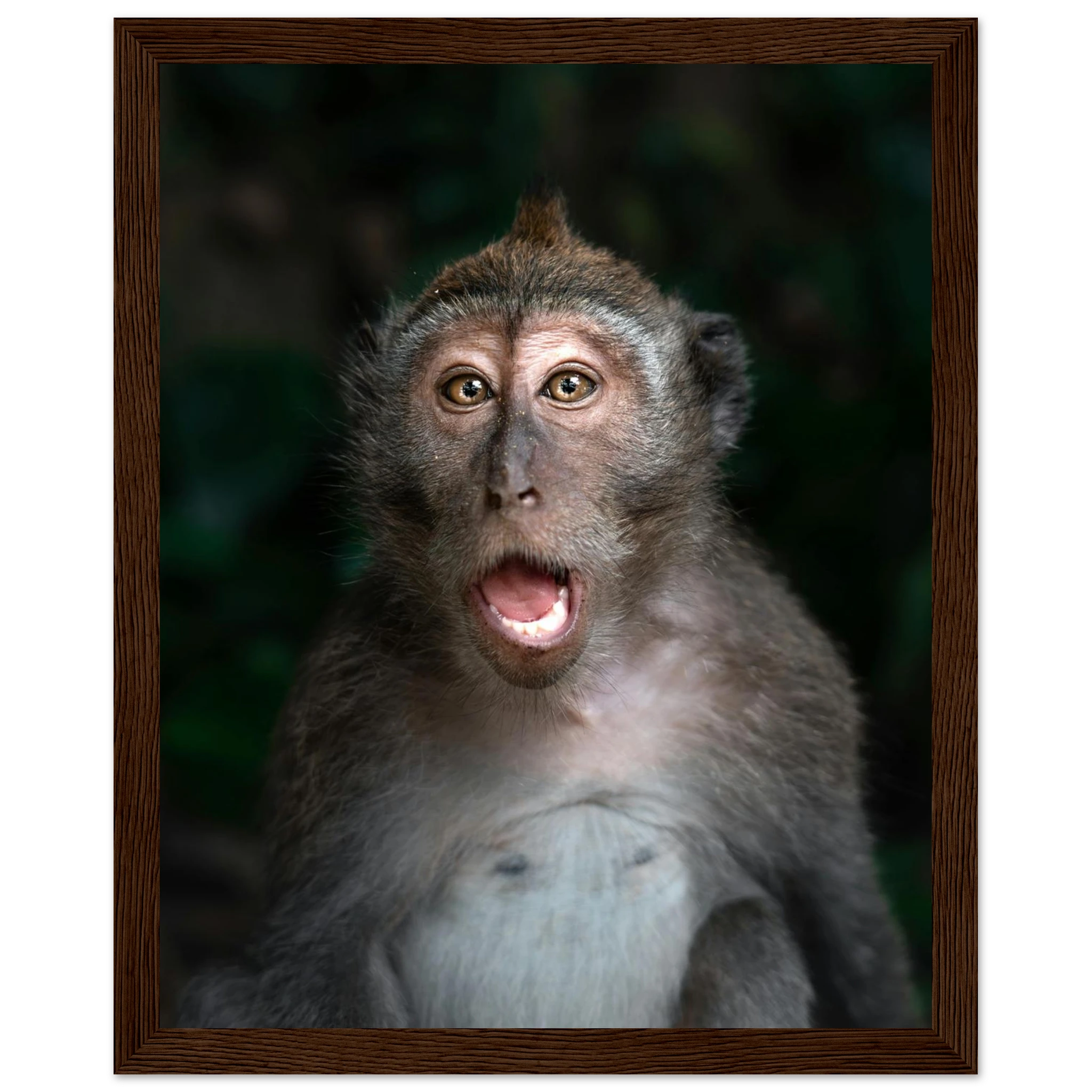 495abd4e-c617-4aeb-a194-899a2ed5b28b