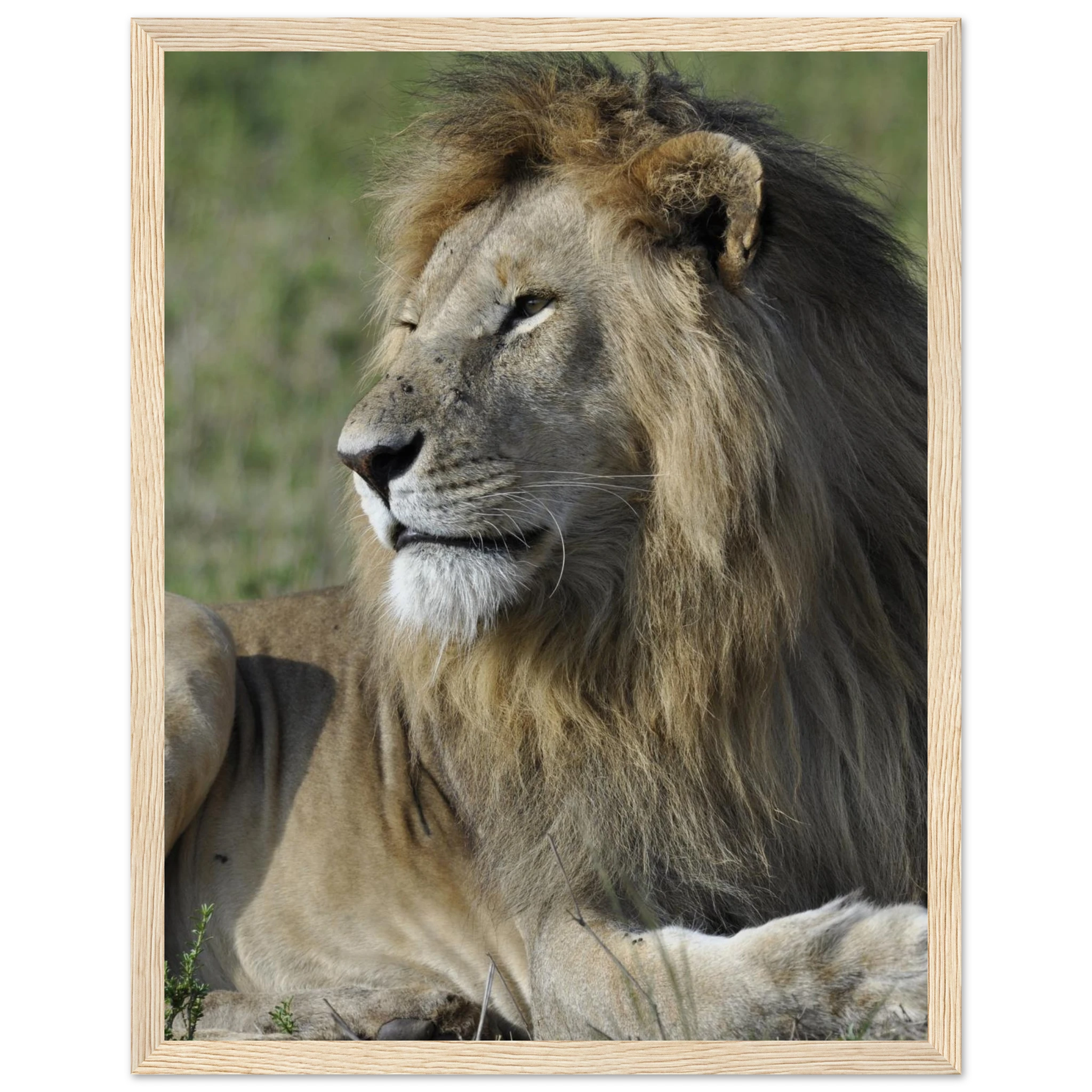 496cba74-83a5-47dc-84c8-06ce194b76c2