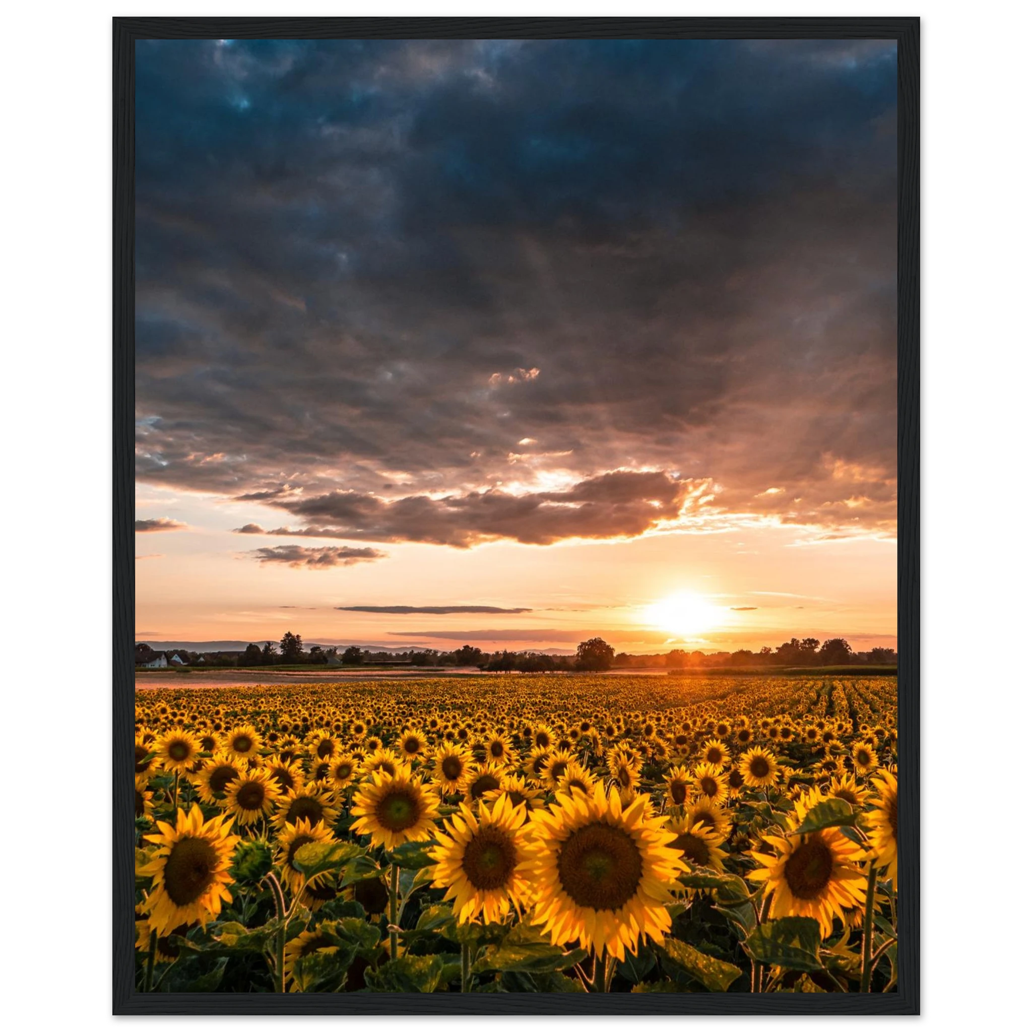 496d275e-c517-407a-bb47-e888af580f77