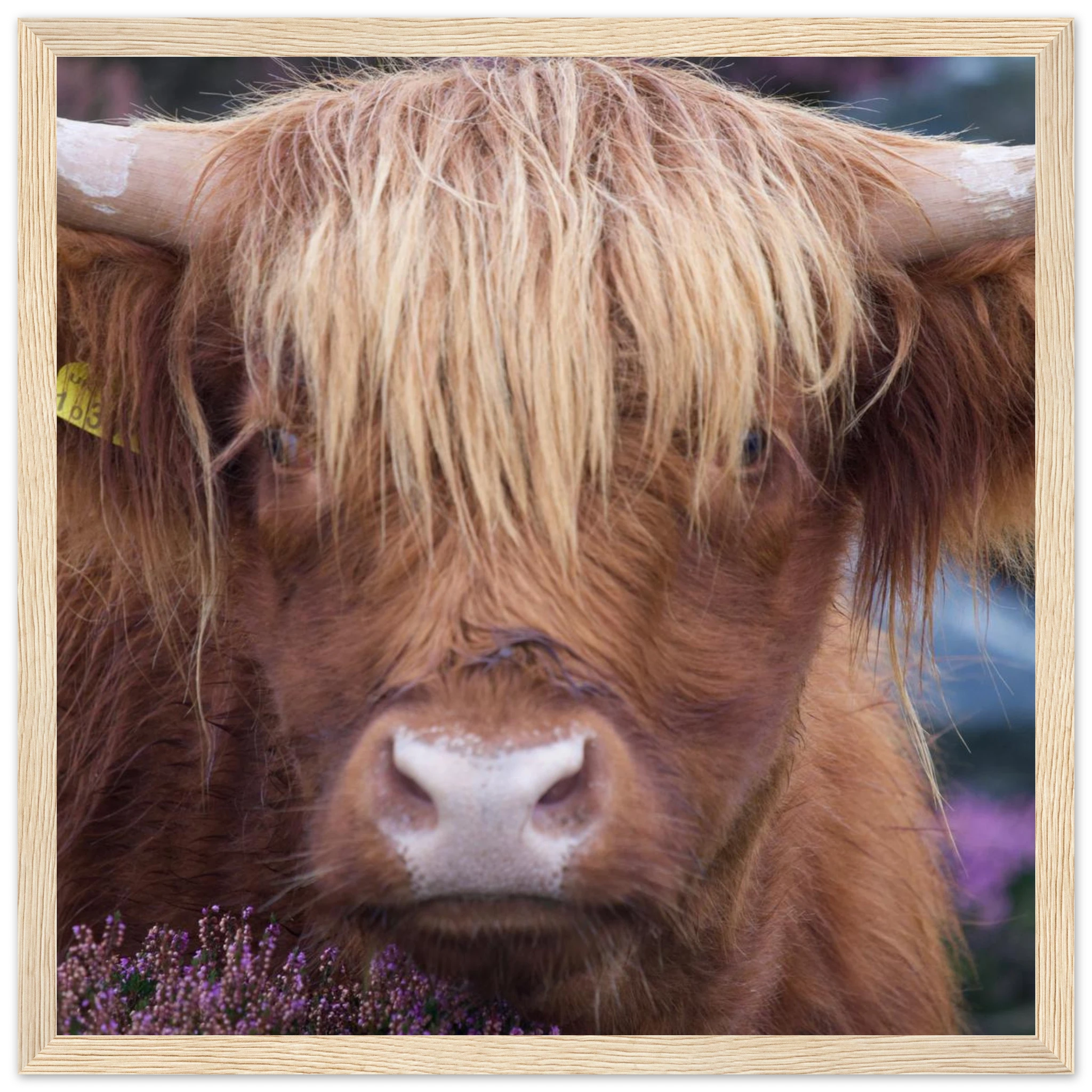 49864634-ce68-47a4-8b42-9f3f75505fd6