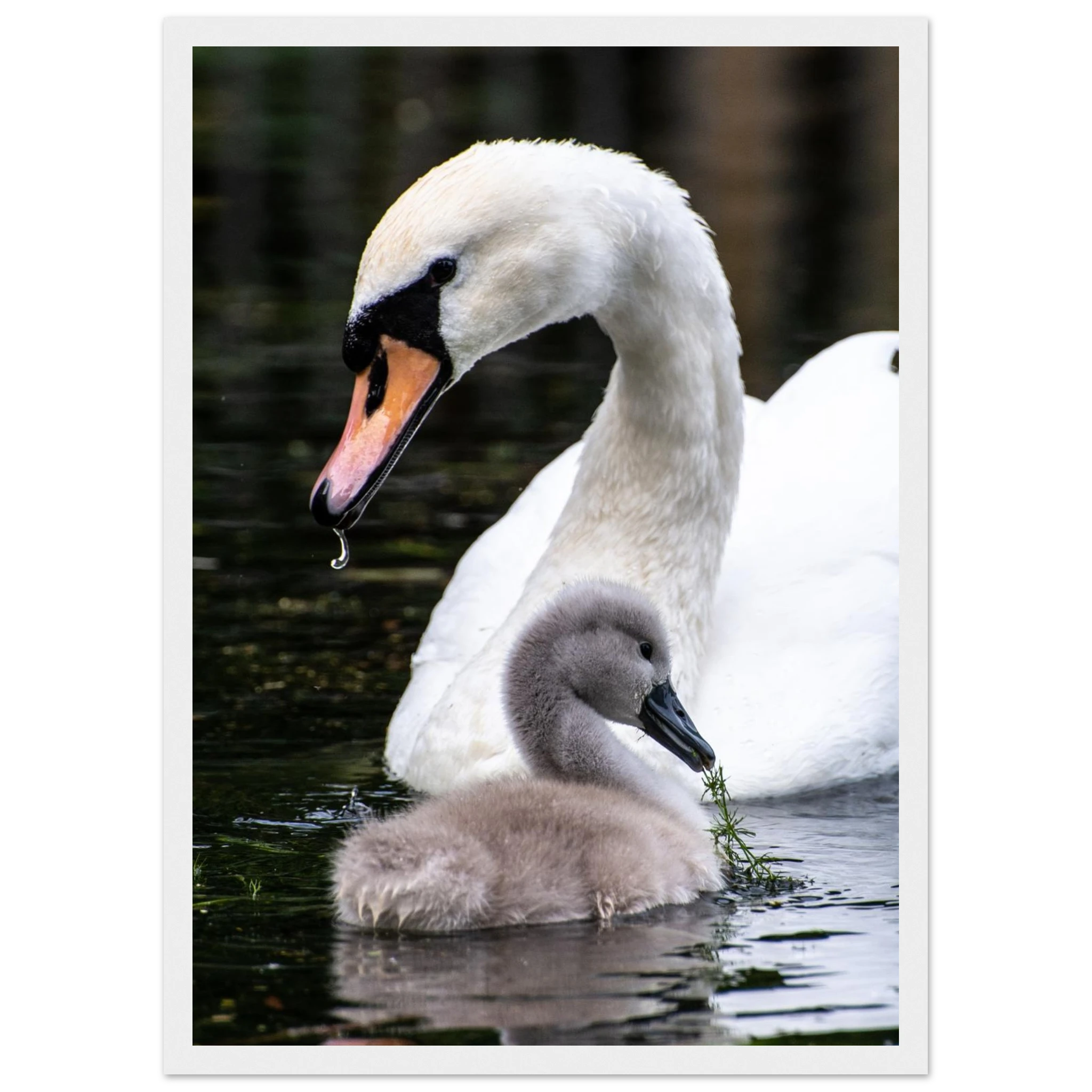 49acfe5e-cd8c-44fd-b5f1-bccb4a3c94aa