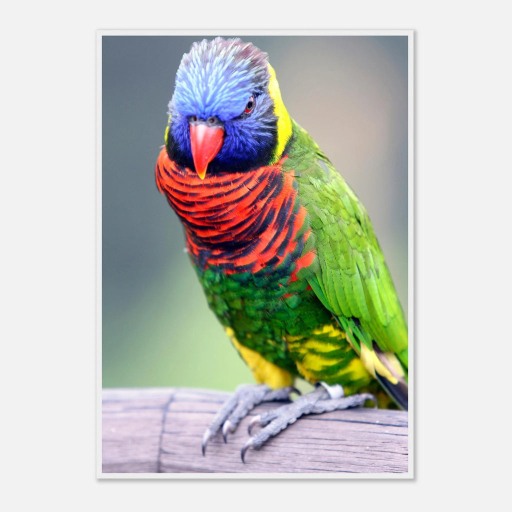 49ae9109-6663-4cee-992a-504073e7e24e