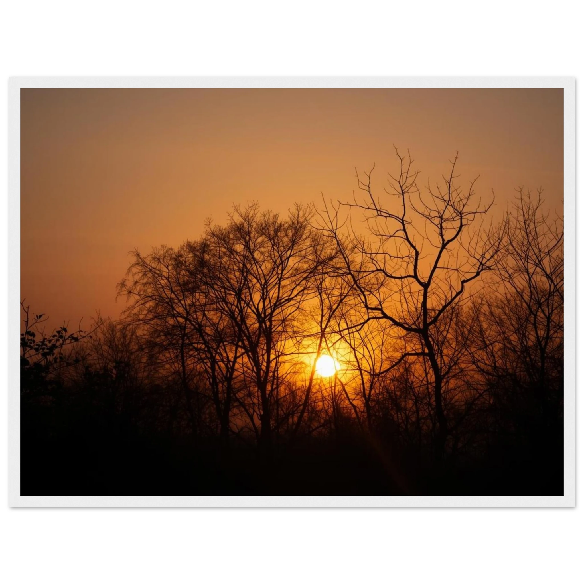 49c434cc-6f91-4a7b-b5b7-f47ab100c30a