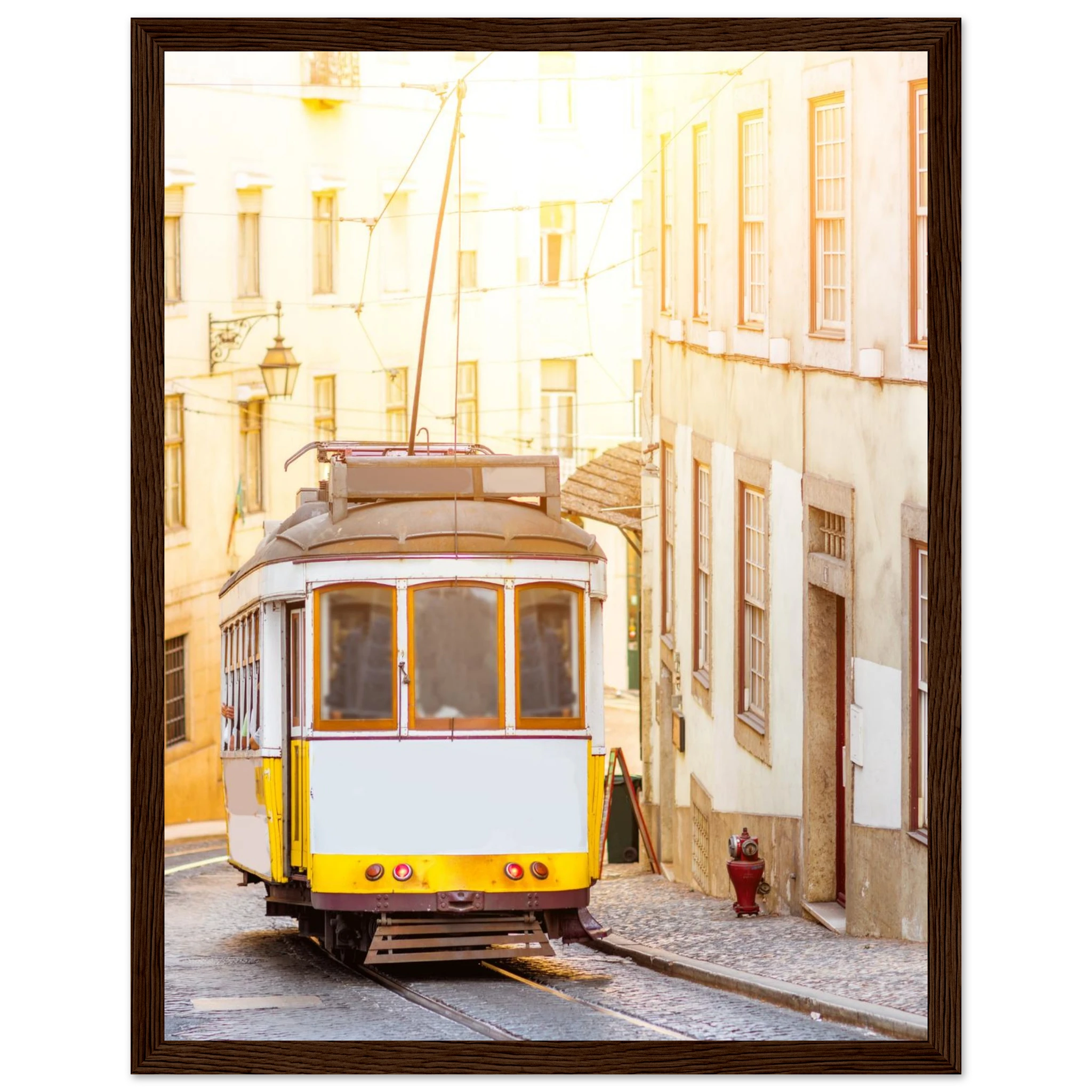 49cface7-8897-479d-a463-0383804816c4