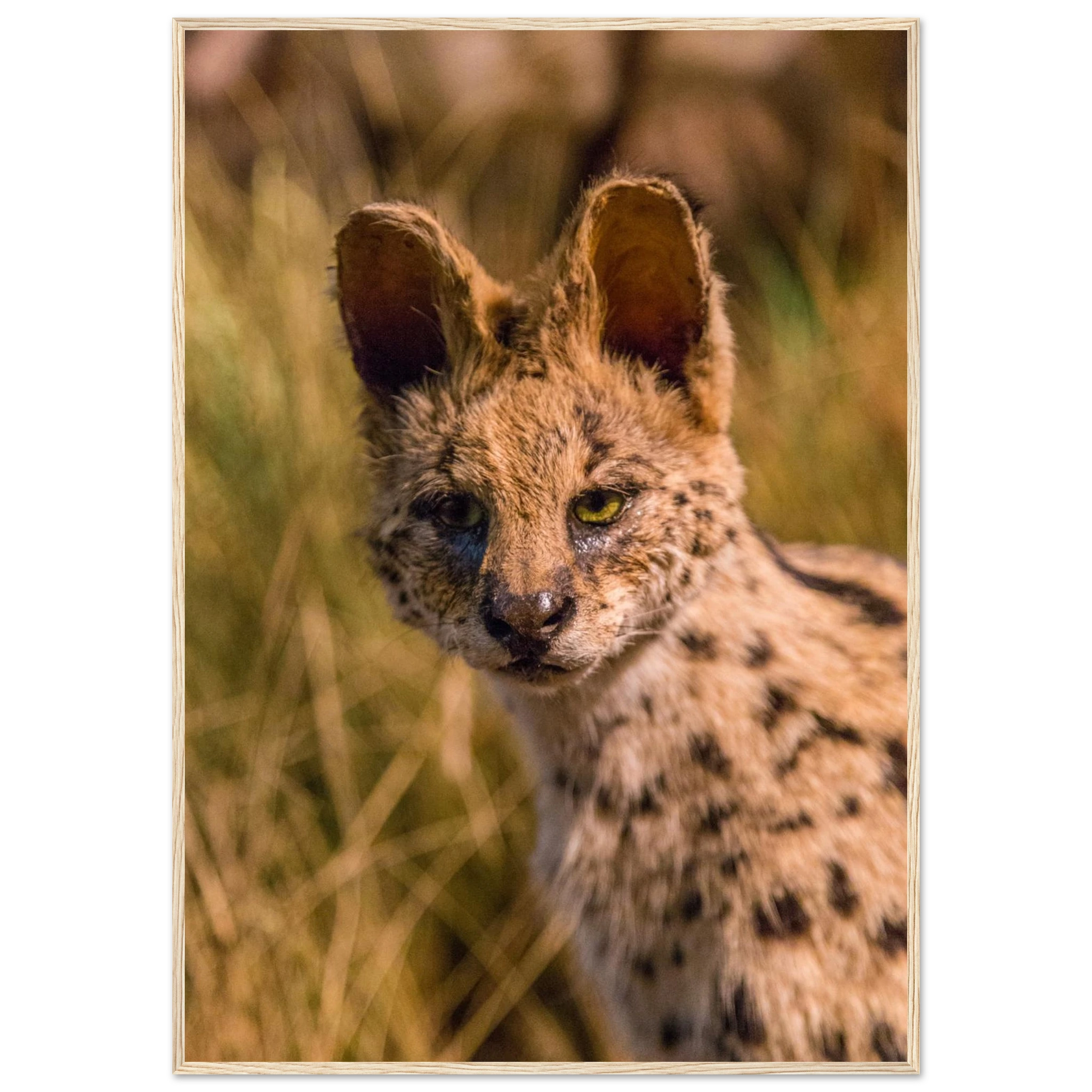 49d3d6fc-67c7-4d22-abe4-572f535eface