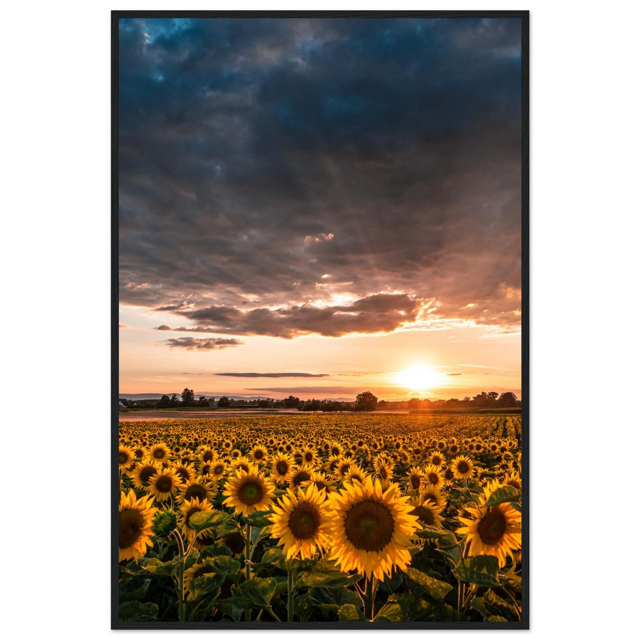 49db1733-20e7-4106-9cbf-1b9c8876df03