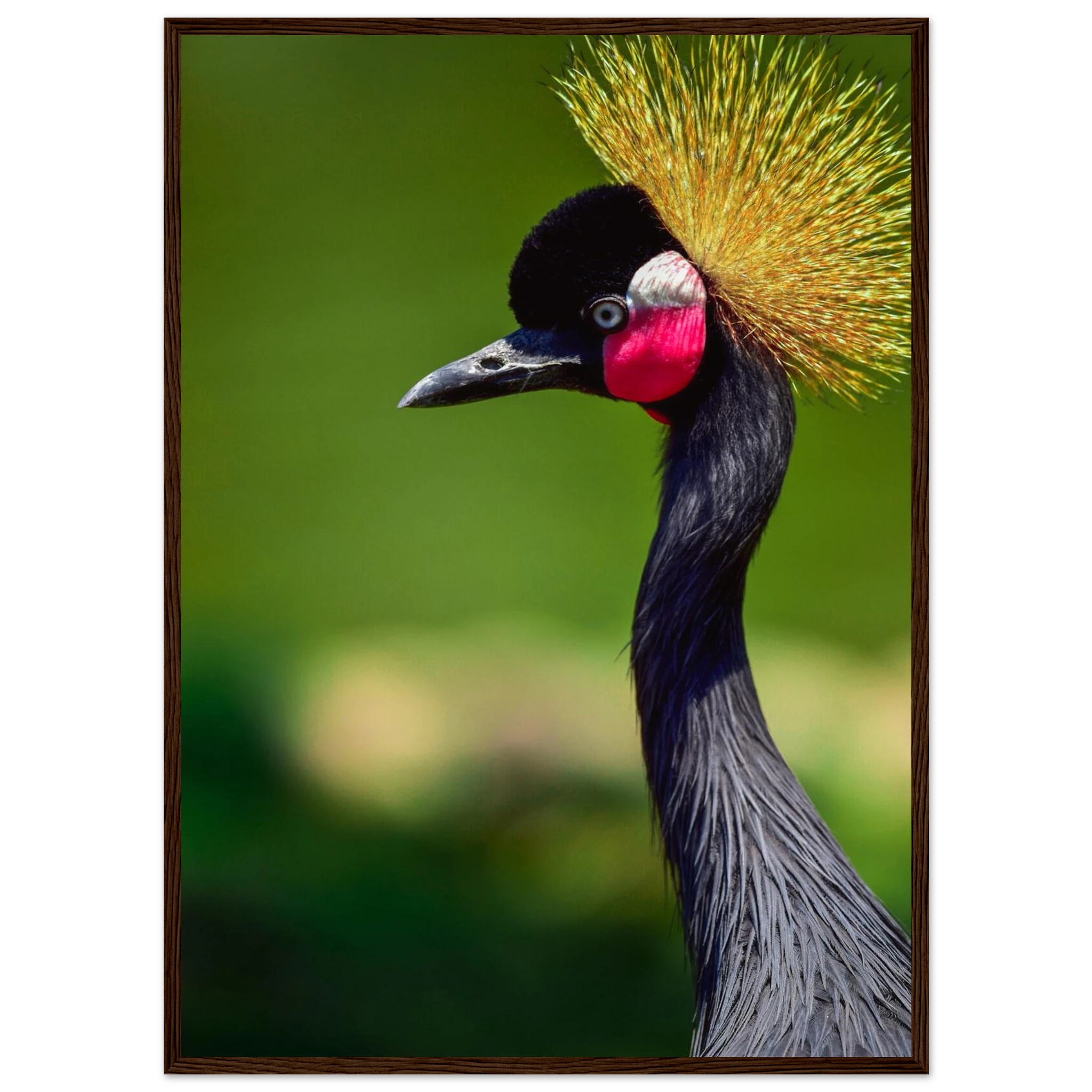 49dba39a-1052-40c0-b43f-c09ecb20e862