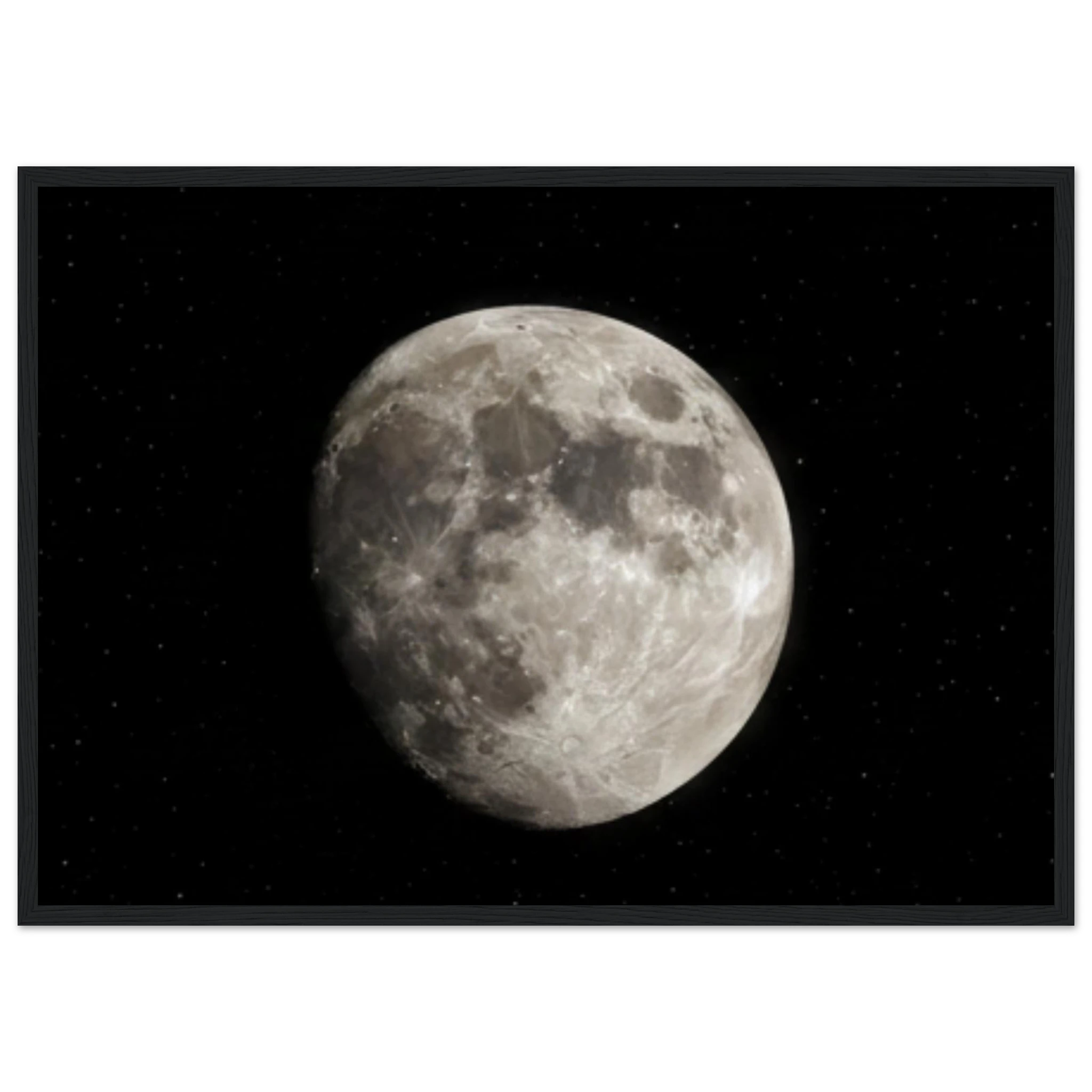 49e49c11-7ab5-487f-89cc-2e96541090ea