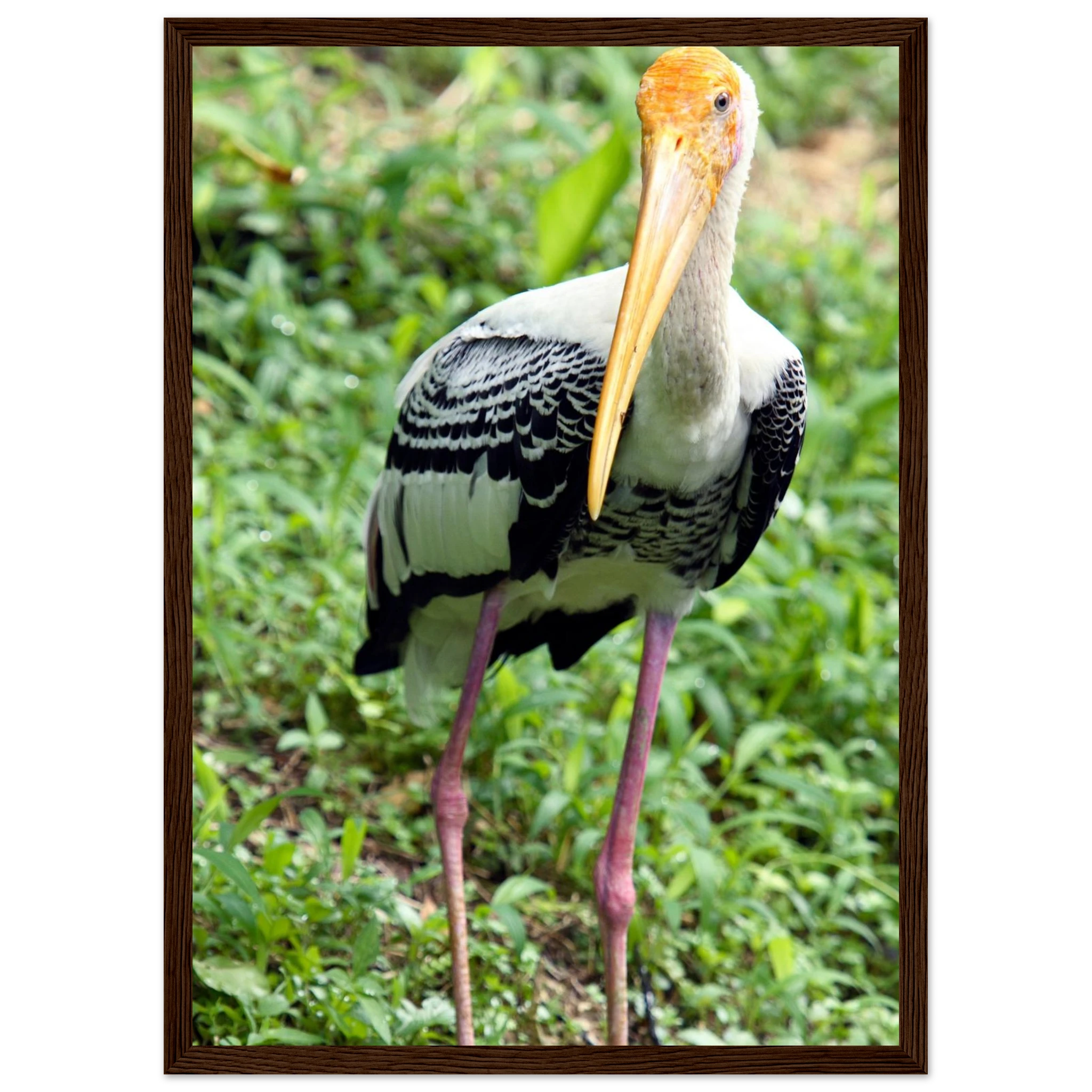 4a0b387a-0147-428c-b70d-c6a7f9e230fe