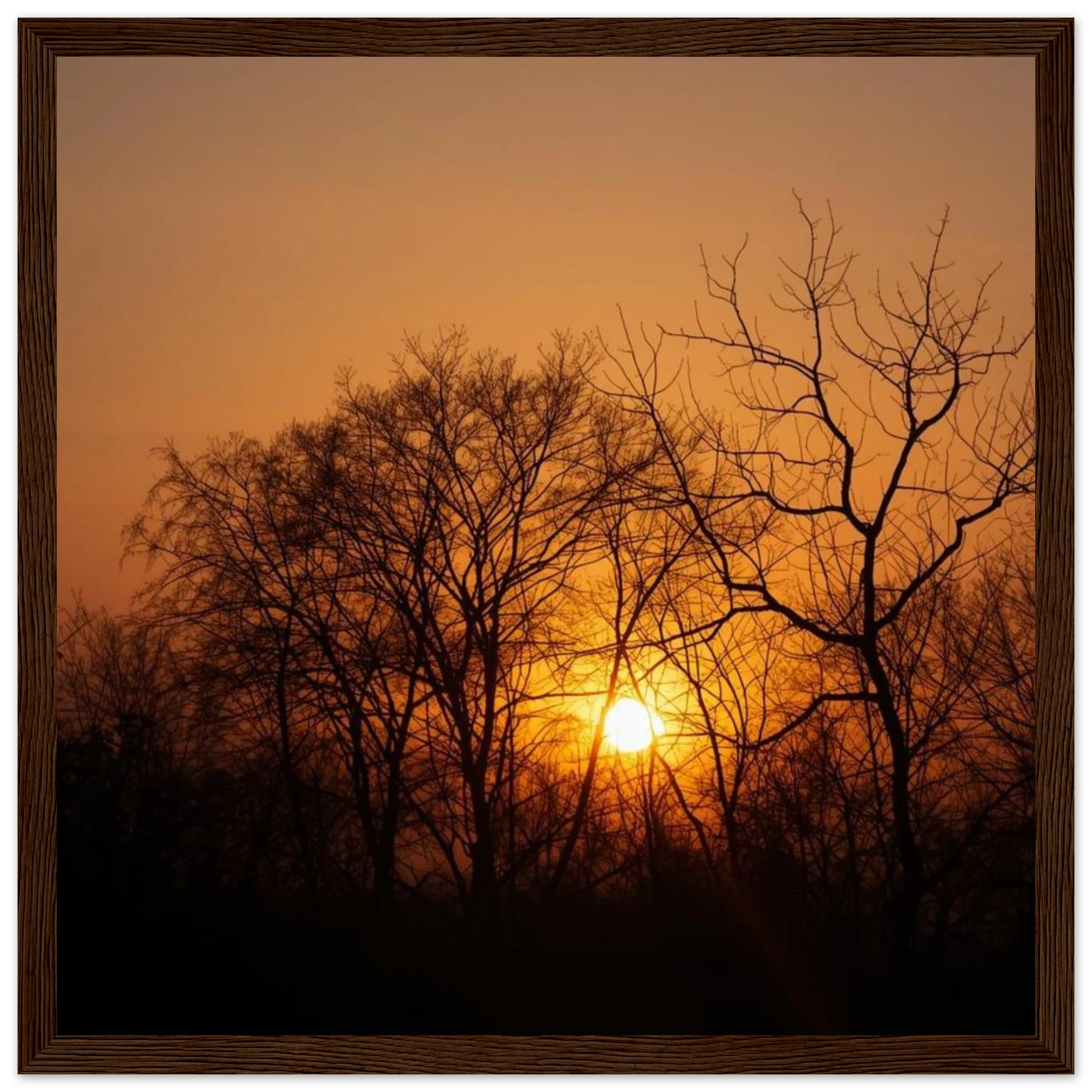 4a19a9c8-58c9-4dfe-b2c8-3770418f3852