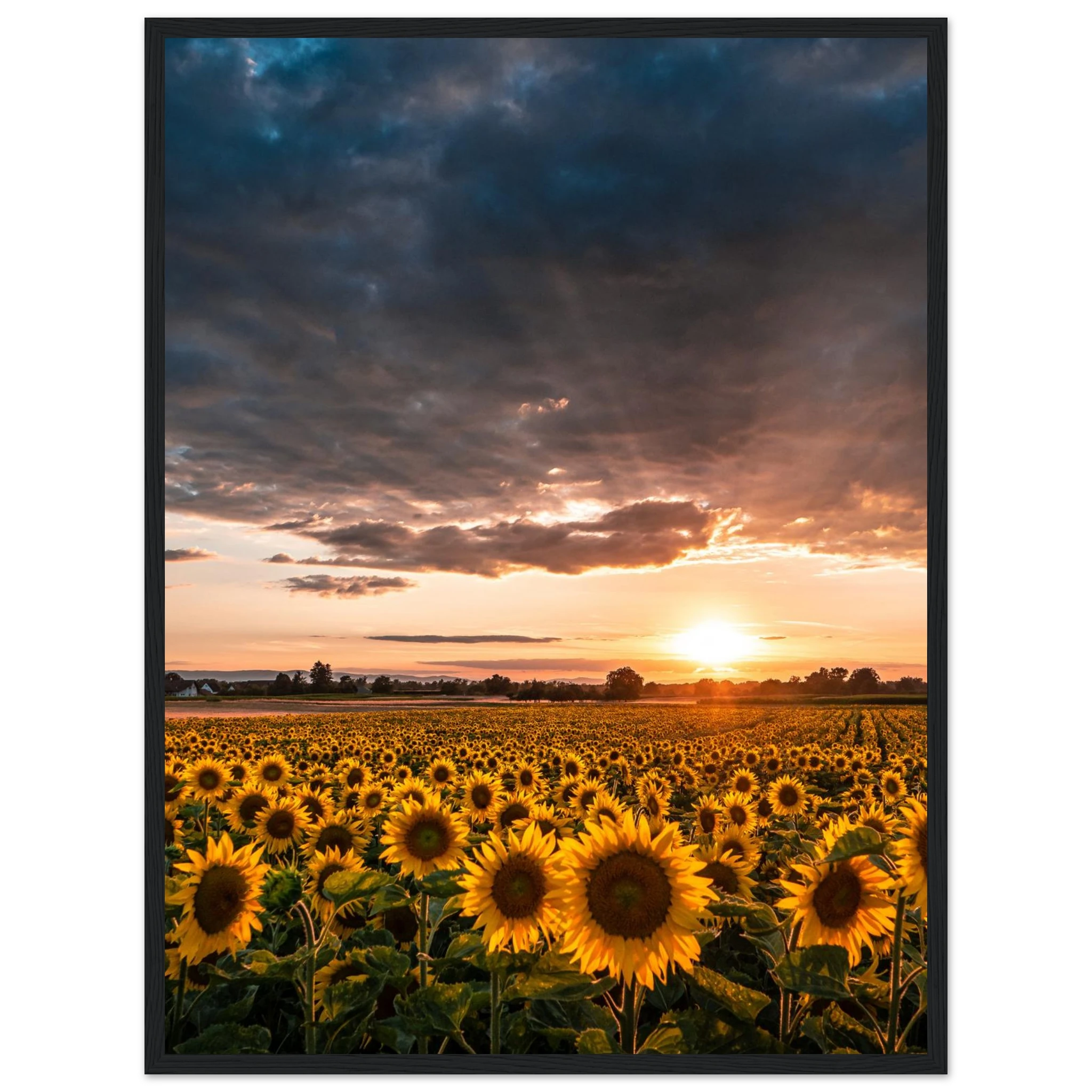 4a31cd0e-ffdd-4142-8815-969c528c3067