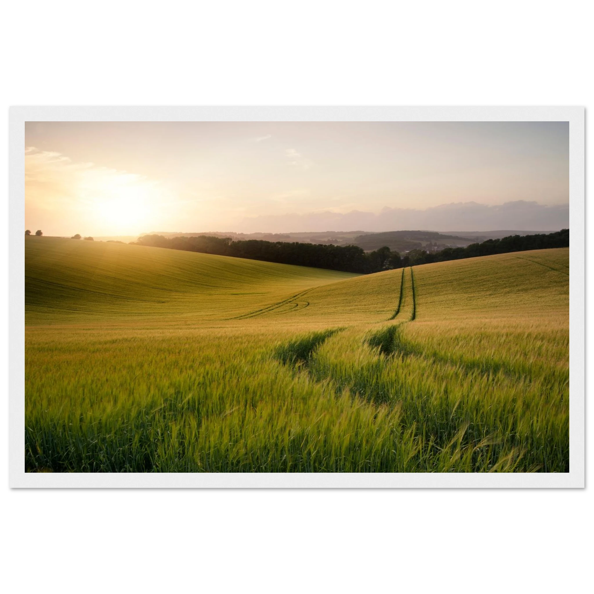 4a361ccc-cfdb-4088-abea-cadbab8136bb