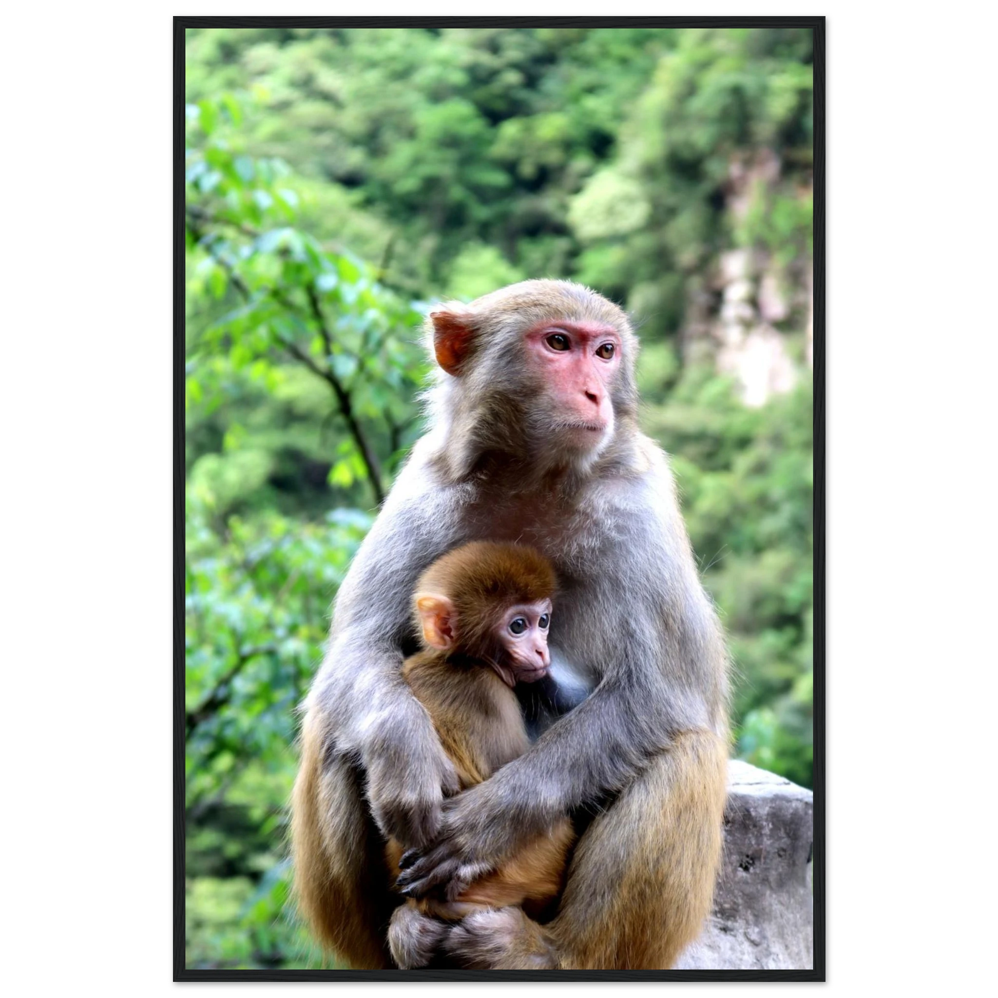 4a53a77d-6ae3-4eed-a2f5-37fe056bc360