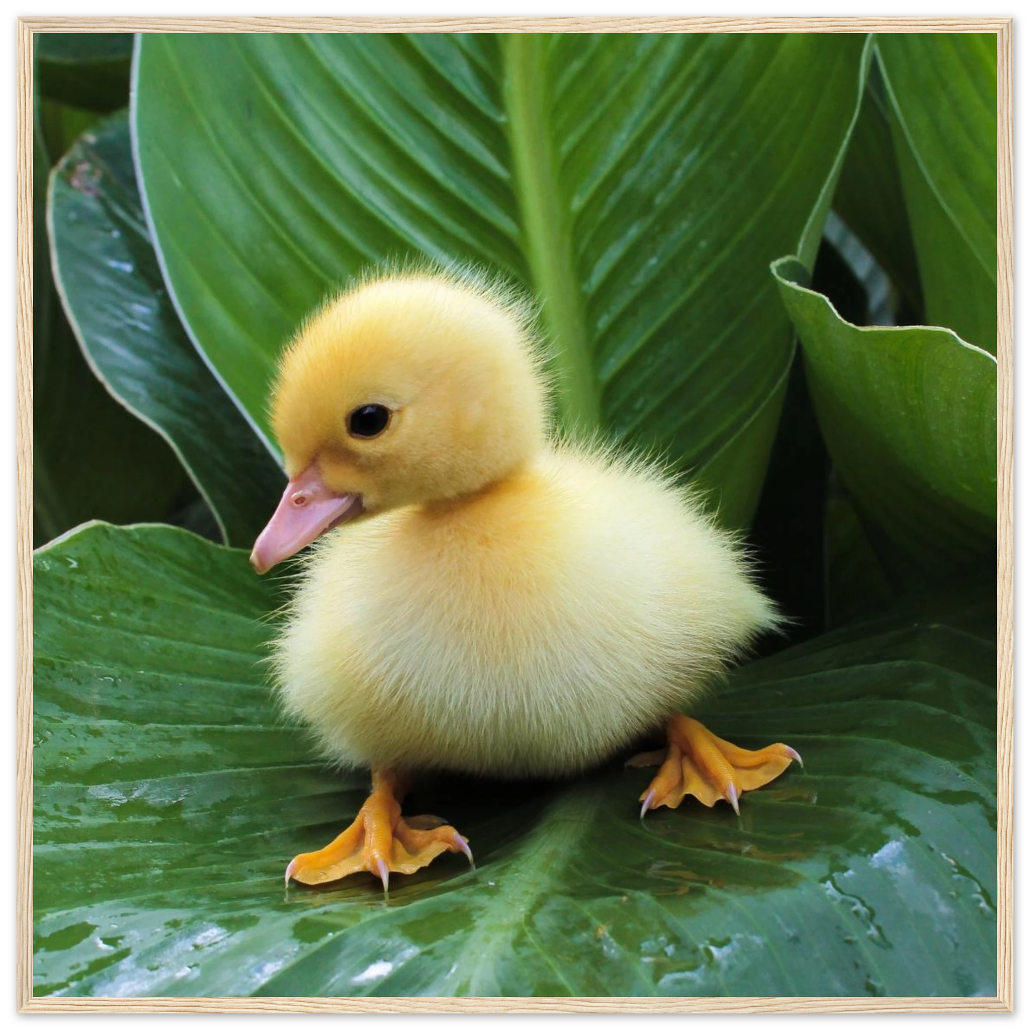 4a5683fc-eb0f-403d-8890-2e3775932563