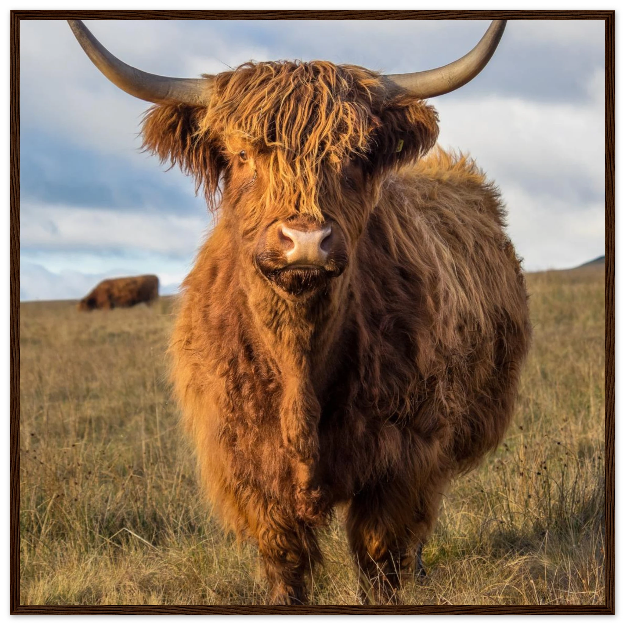 4a58c493-5138-4c7e-b454-915d85a0c6a7