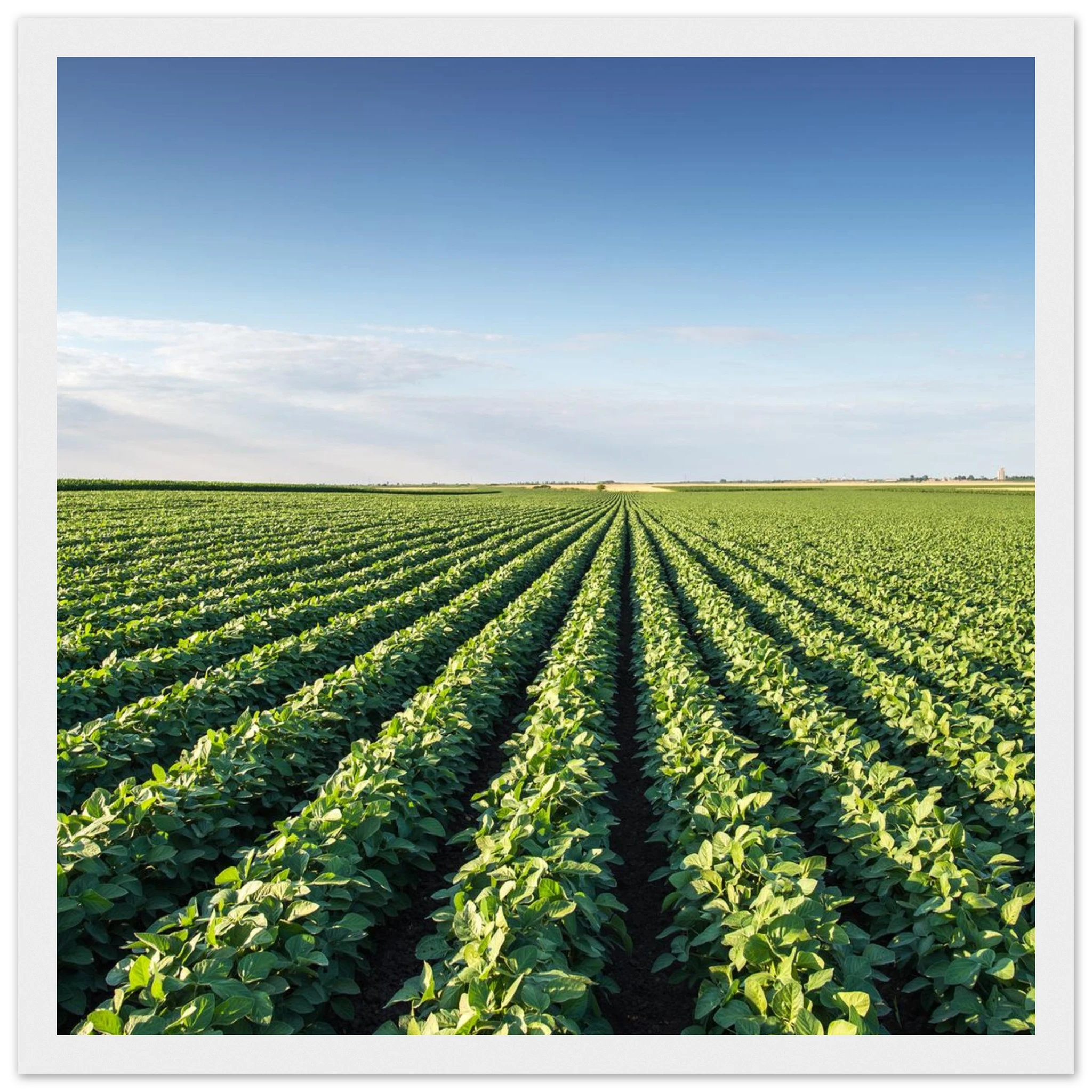 4a5dbdc4-5d95-4c3b-800e-55aa26687401