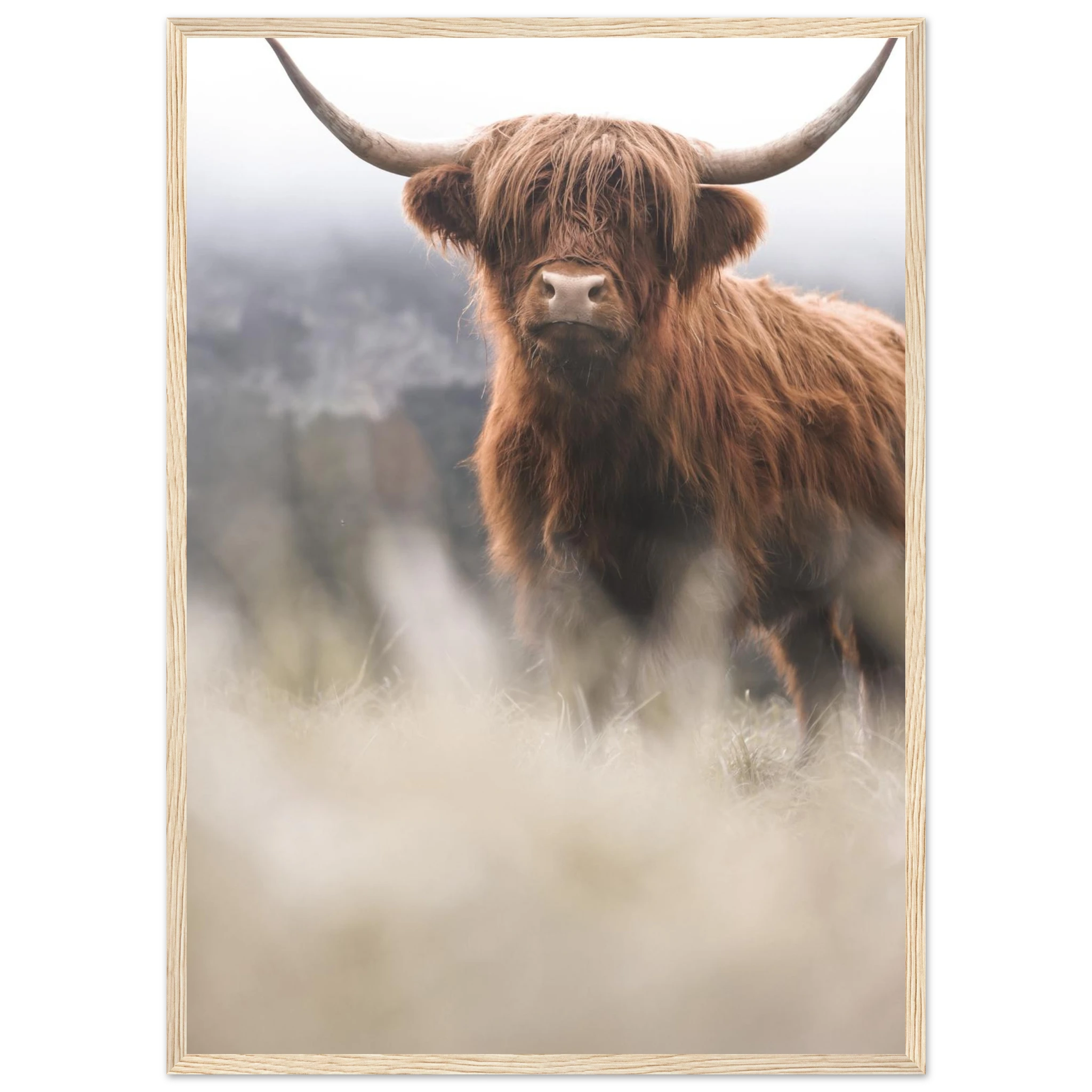 4a5e9eba-f3e9-43d5-bfa7-50614ee0679f