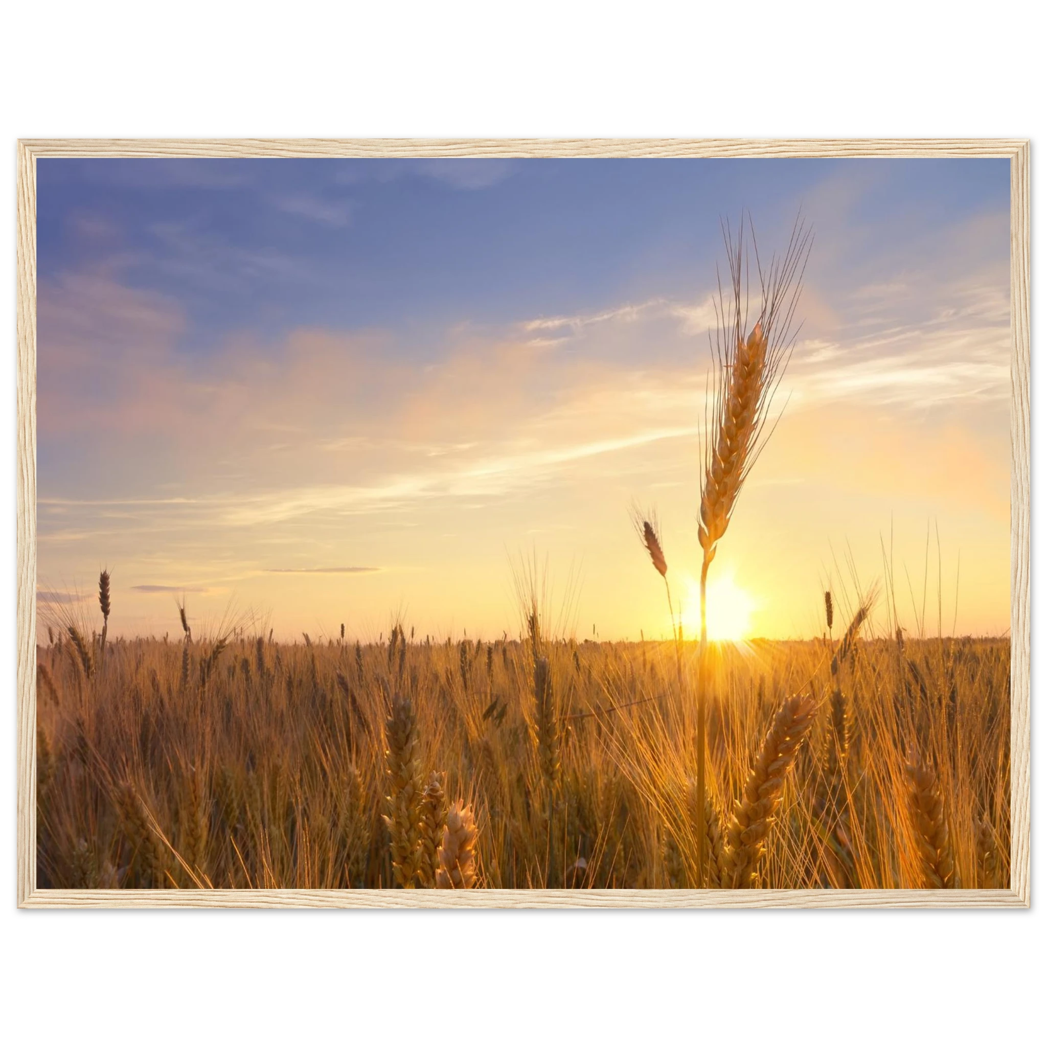 4a8a19a2-503d-497e-a6ce-c0e47f195bca