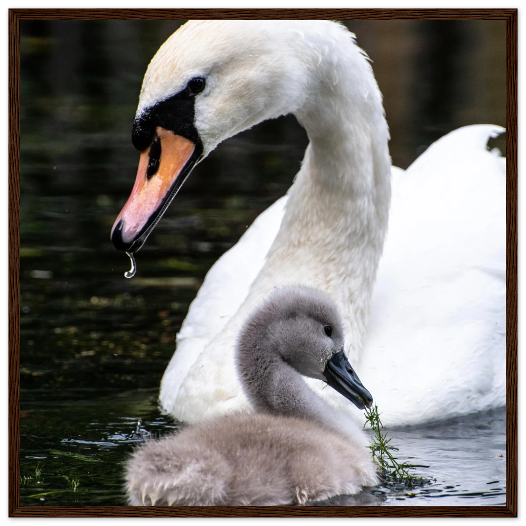 4aa2e243-36f8-4ced-9a70-b1dc967fc5c5