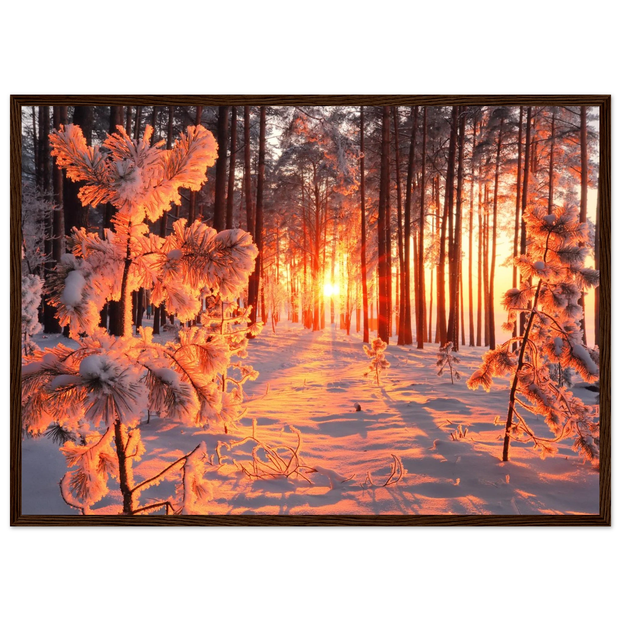 4aab4ac2-f63f-4486-a690-2fd9109b92a3