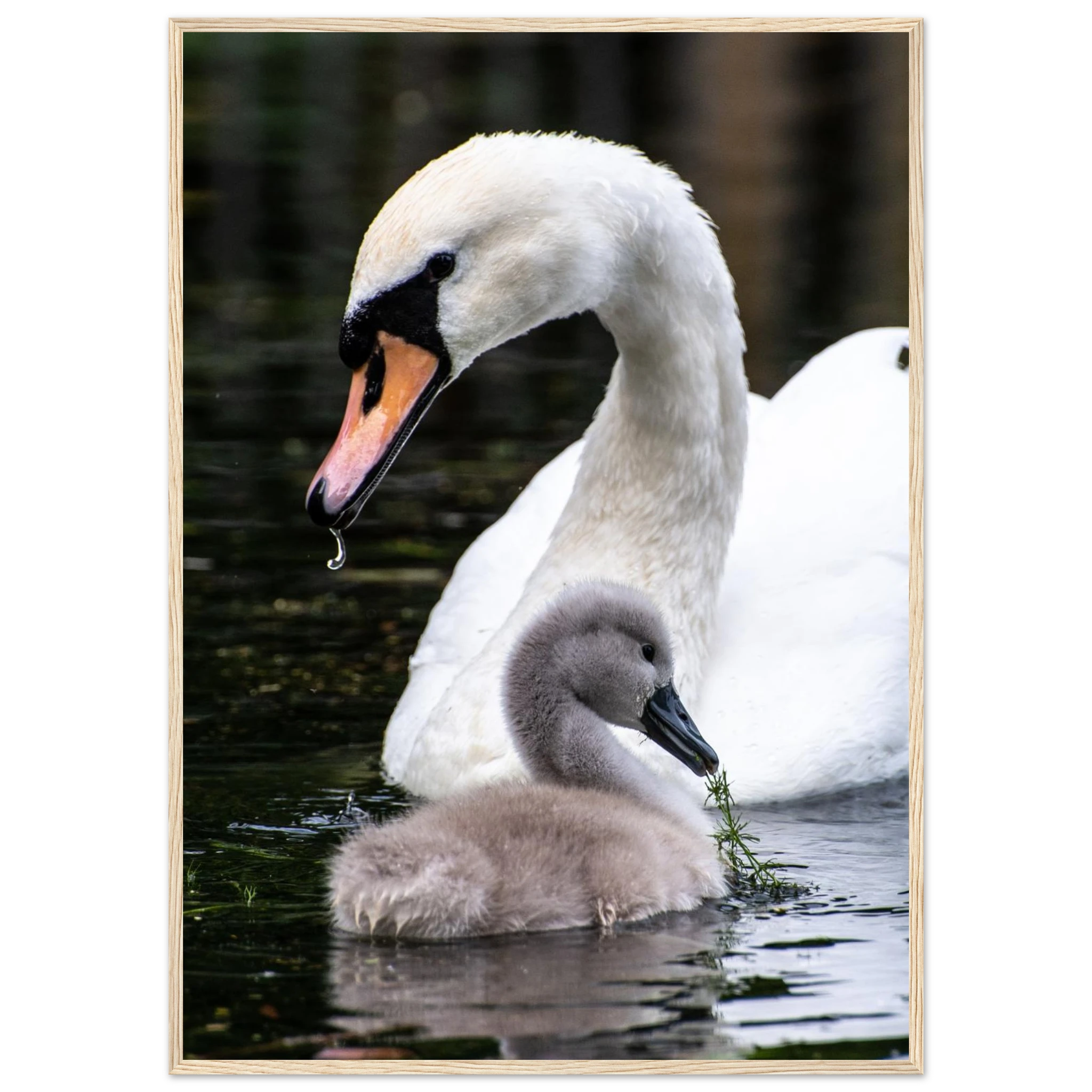 4ab69578-1e47-46a7-b167-7559d410b0a1